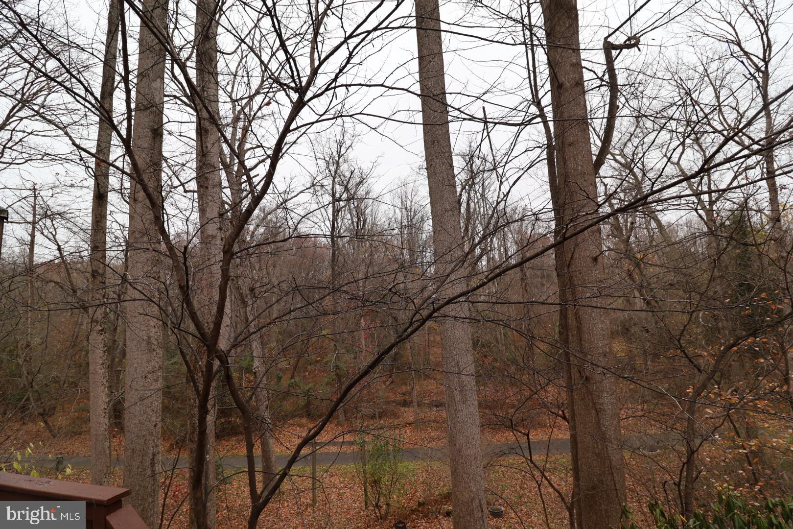 RESTON - Residential Lease