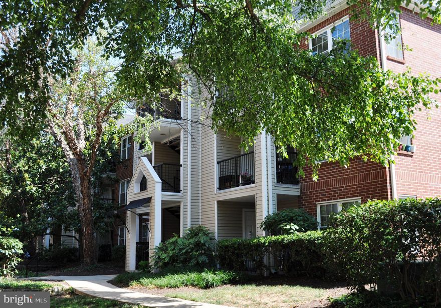 Tranquil setting on highest floor with balcony overlooking trees. One bedroom renovated unit with lovely kitchen -stainless steel appliances, granite countertop and spacious island.  Washer dryer in unit. Updated bathroom. Fitness center and peaceful neighborhood pool very close by plus outdoor bball court. Shuttle bus to Pentagon. One assigned parking space right at entrance to condo and plenty of visitor parking.   Pets case by case.  Close to Shirlington and Old Town Alexandria - both places offering lots of restaurants, shops and even Theatre.   Available for showings July 20 onwards.  Can start lease September 1.