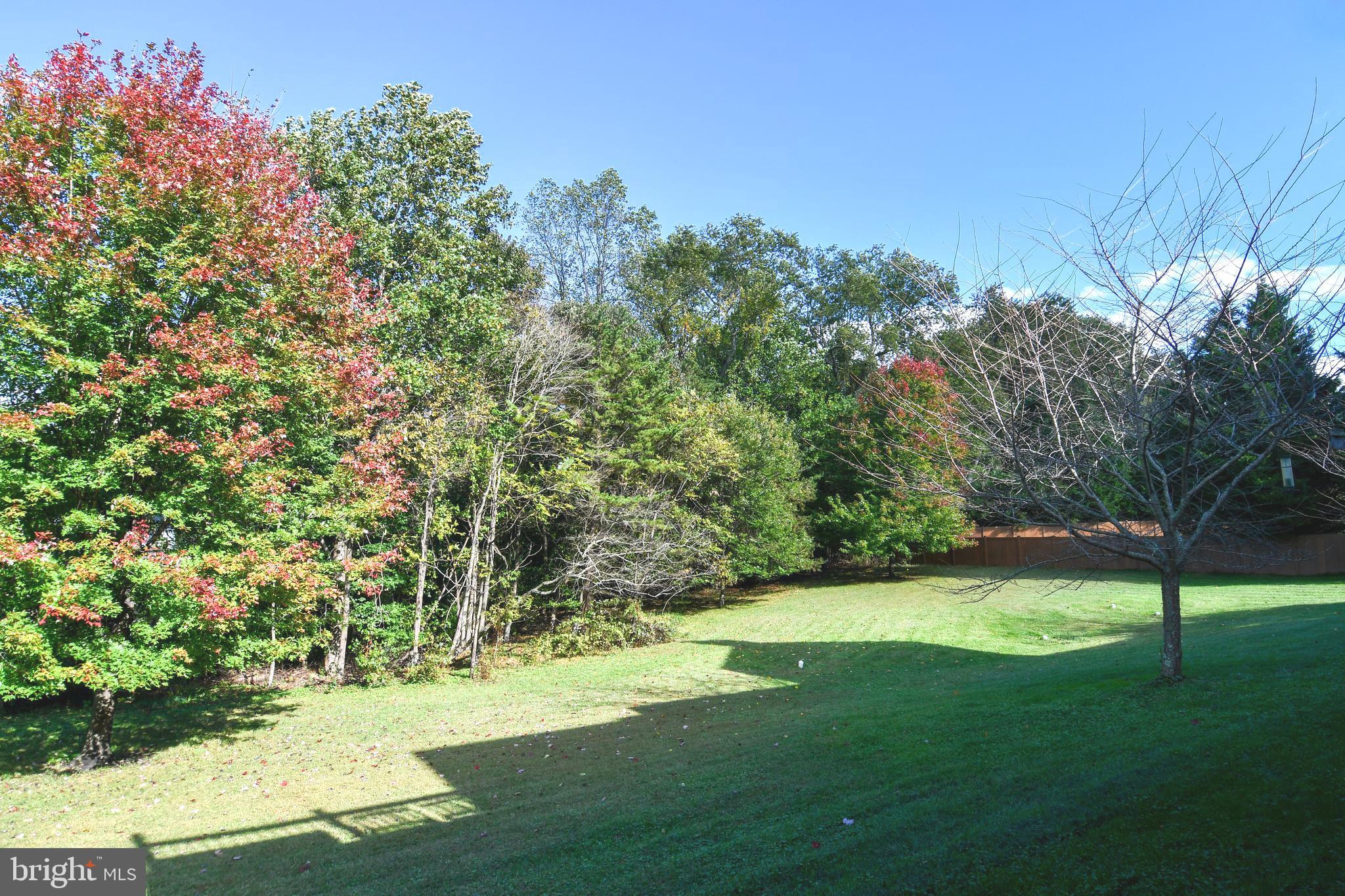 EAGLE POINTE - Residential