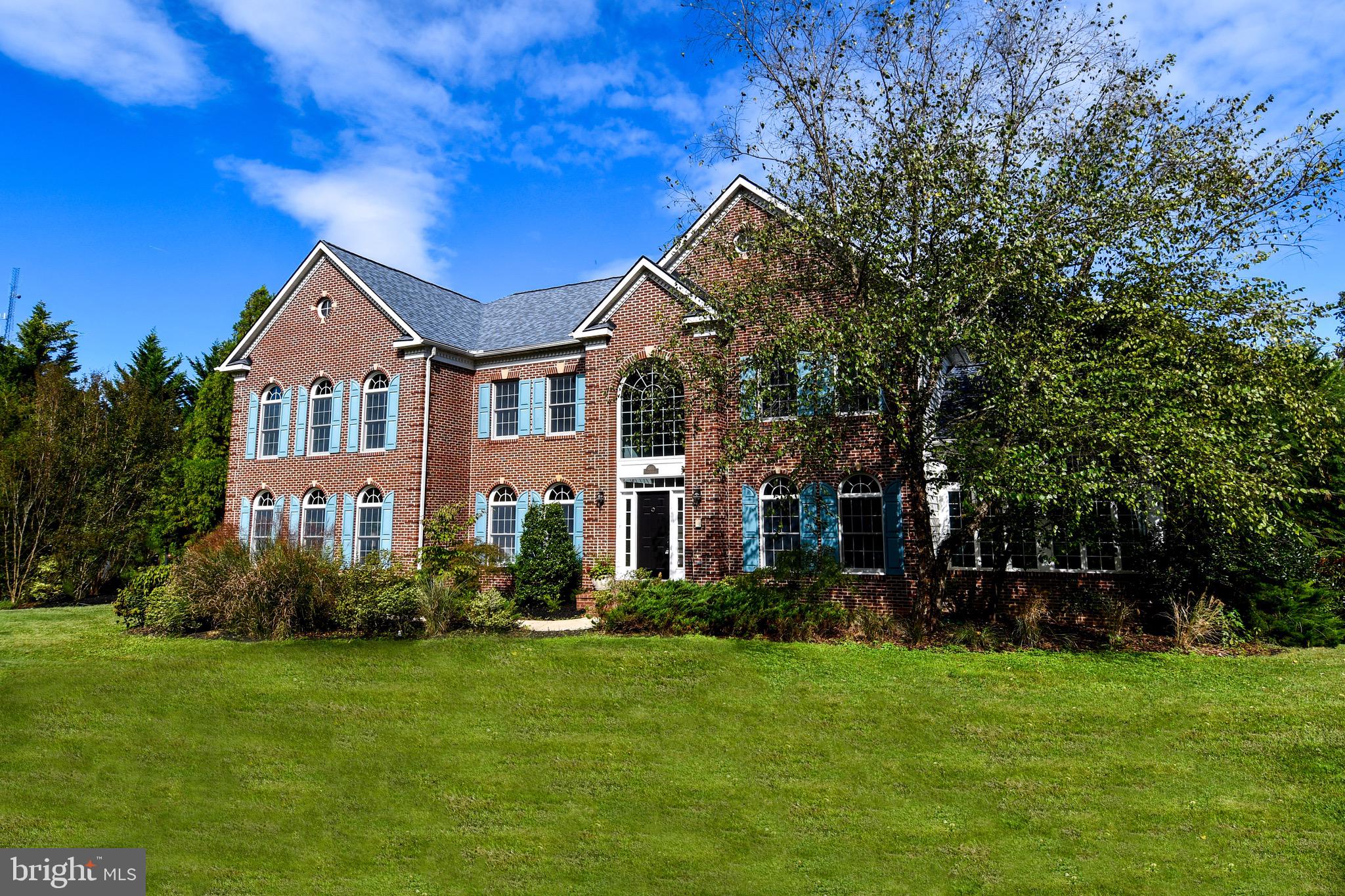 1603 TURKS CAP LILY LANE