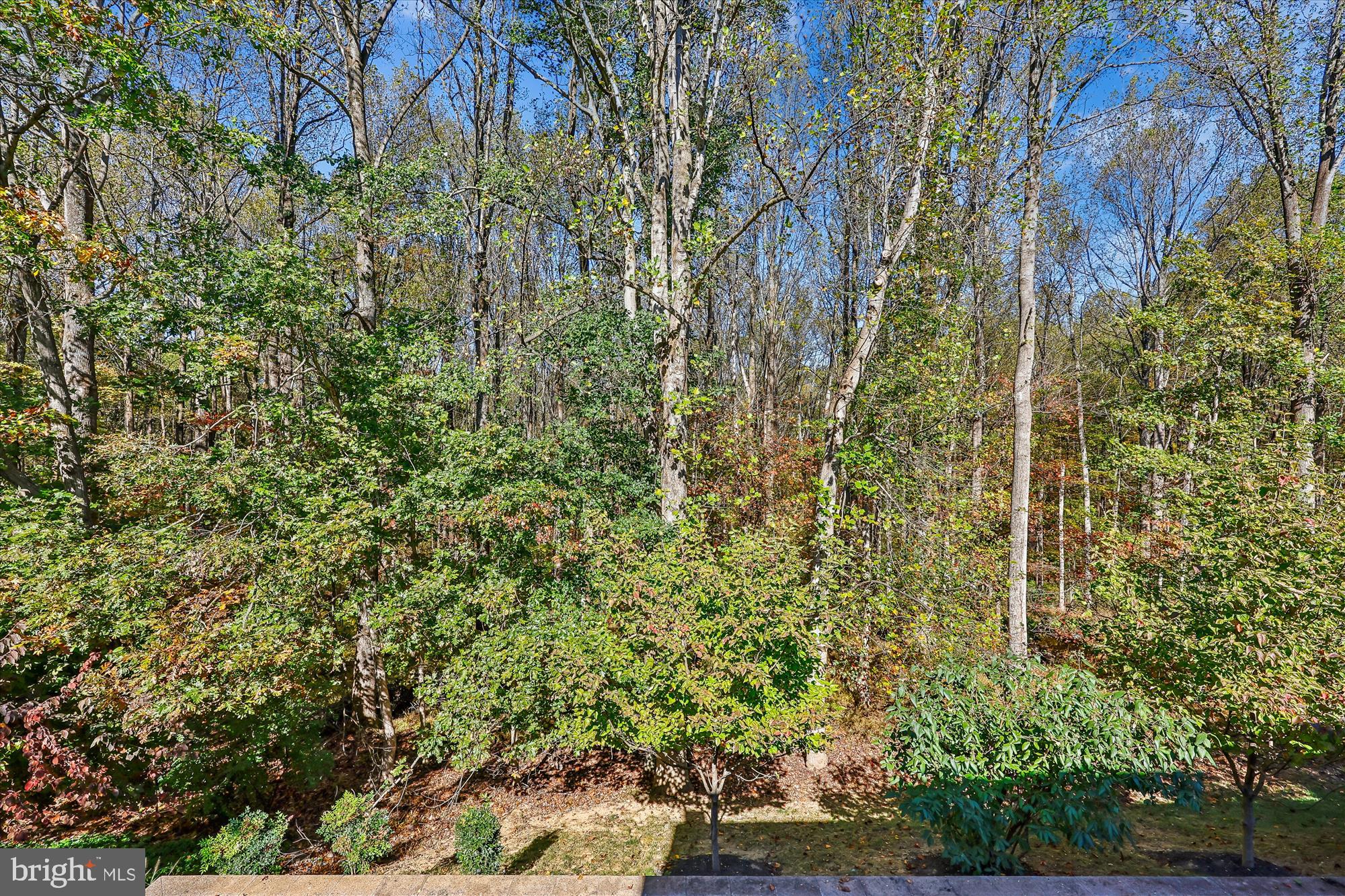 QUINCE ORCHARD VALLEY - Residential
