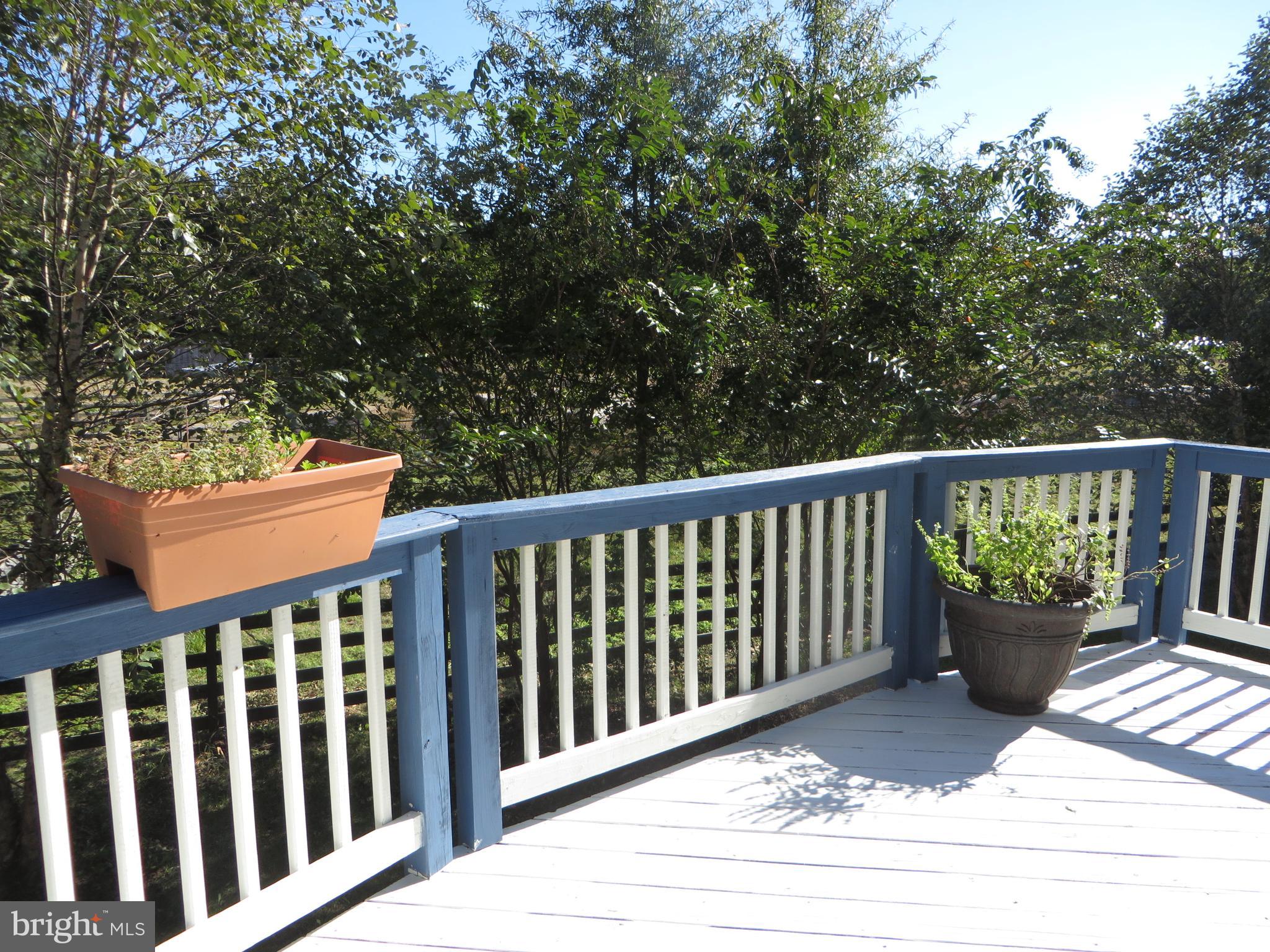 ST. GEORGES BEACH - Residential