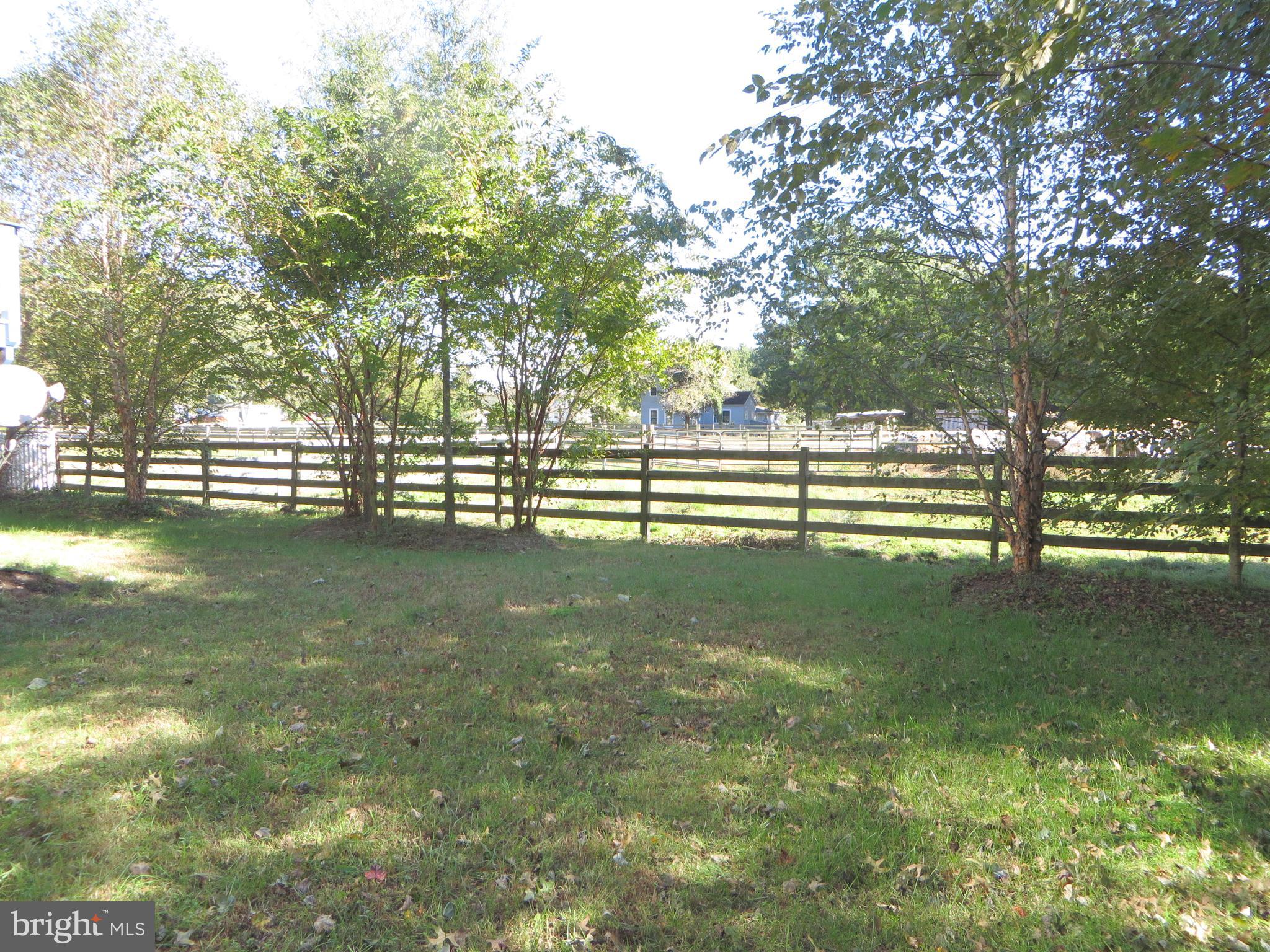 ST. GEORGES BEACH - Residential