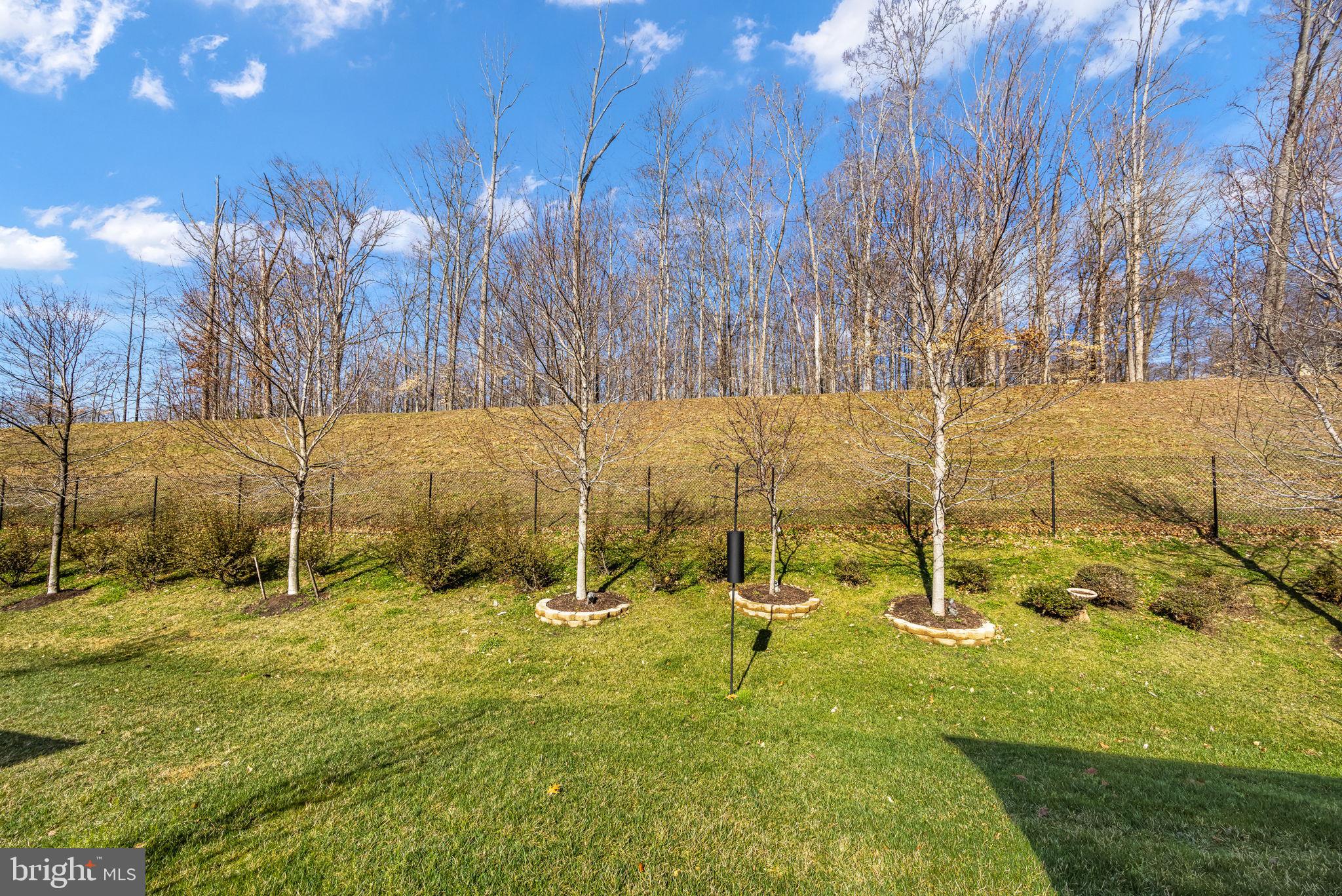 CELEBRATE VIRGINIA NORTH - Residential