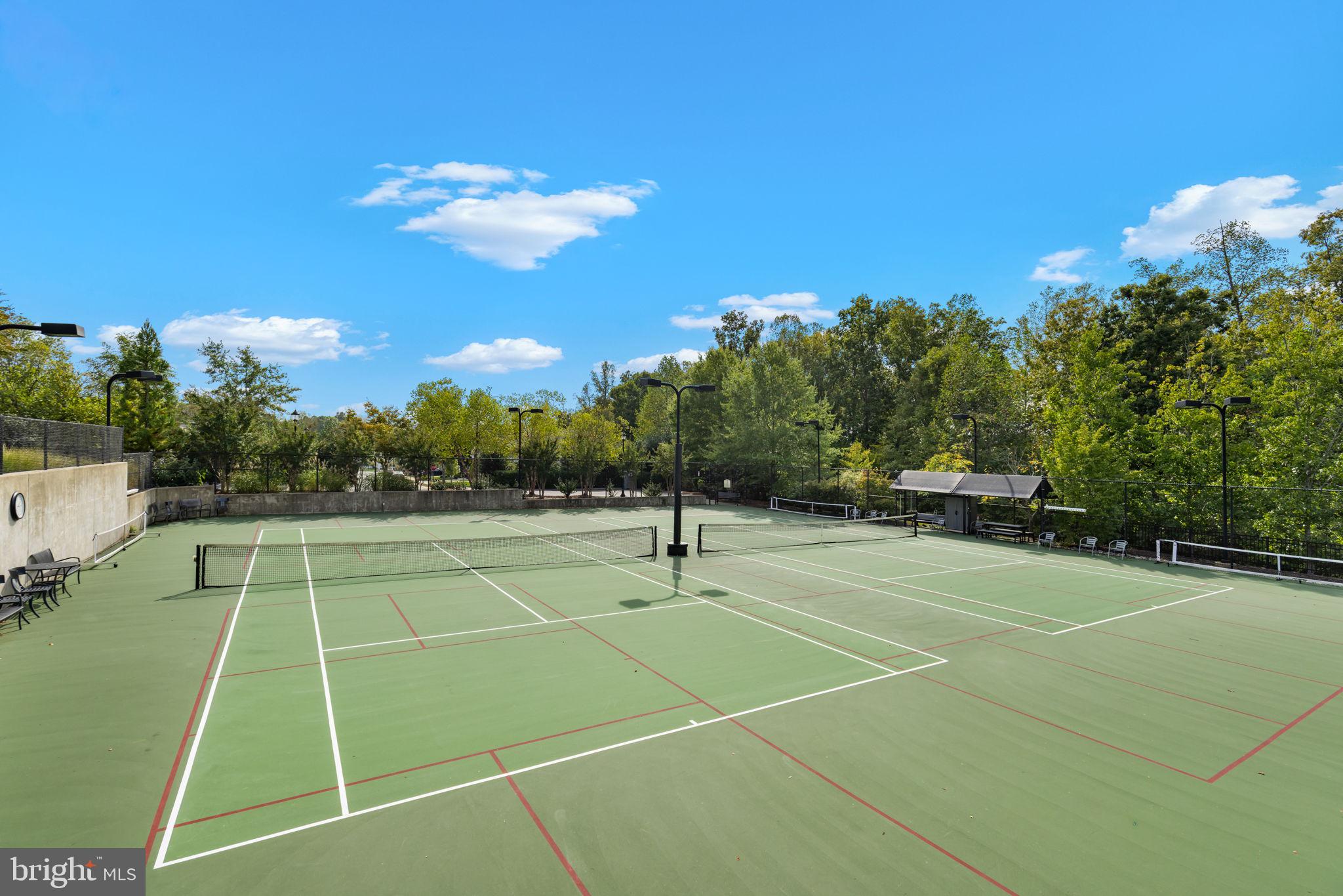 CELEBRATE VIRGINIA NORTH - Residential