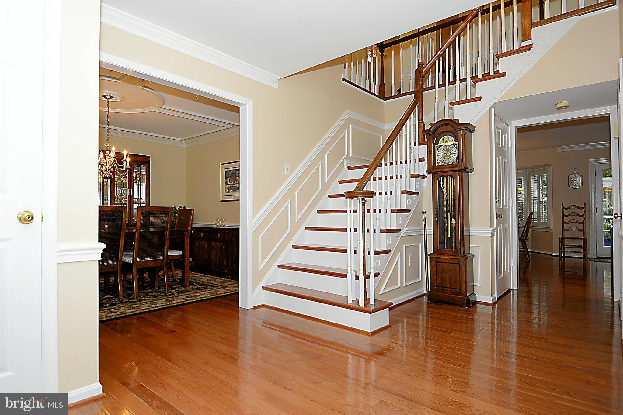 SOUTH RUN FOREST - Residential