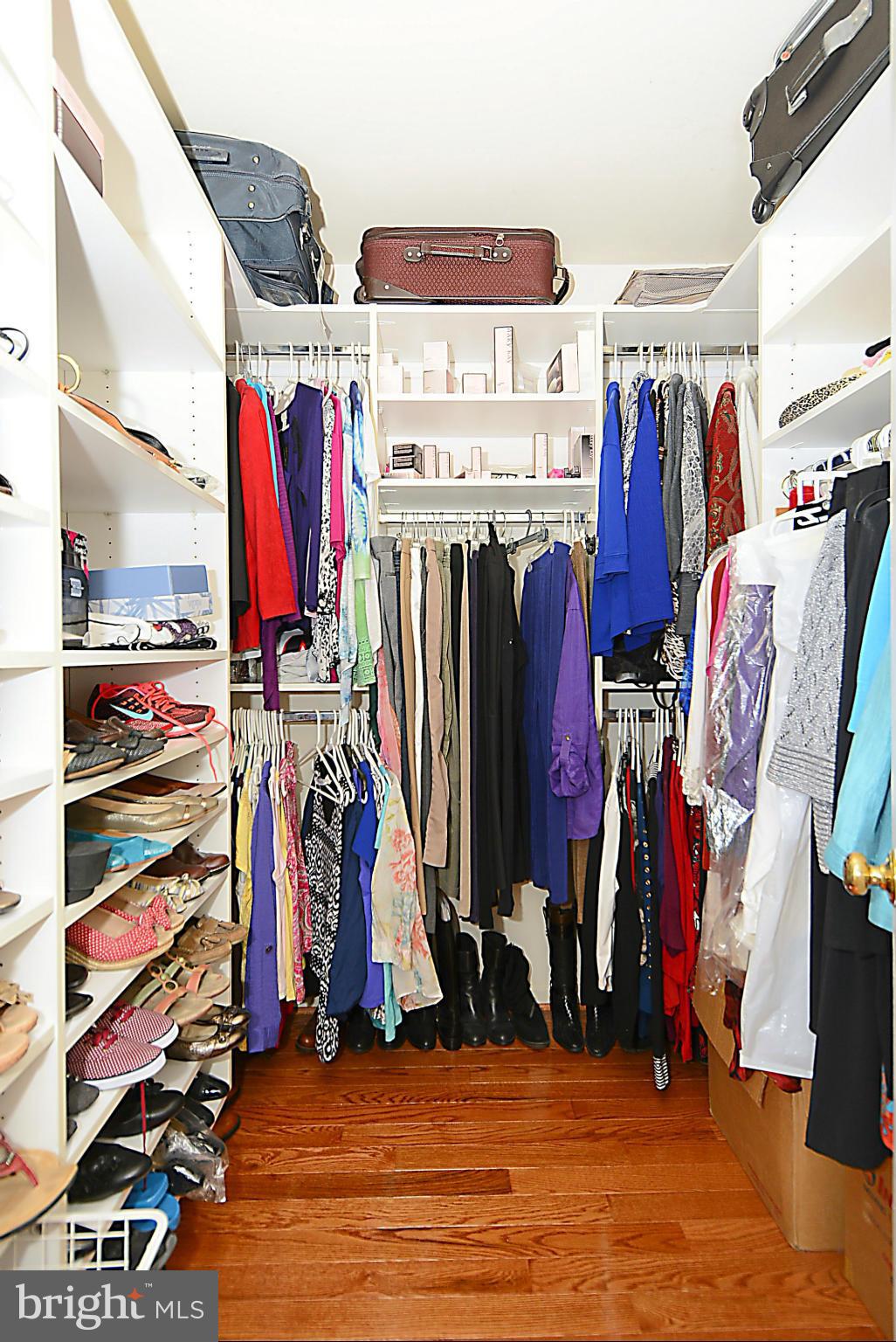 SOUTH RUN FOREST - Residential