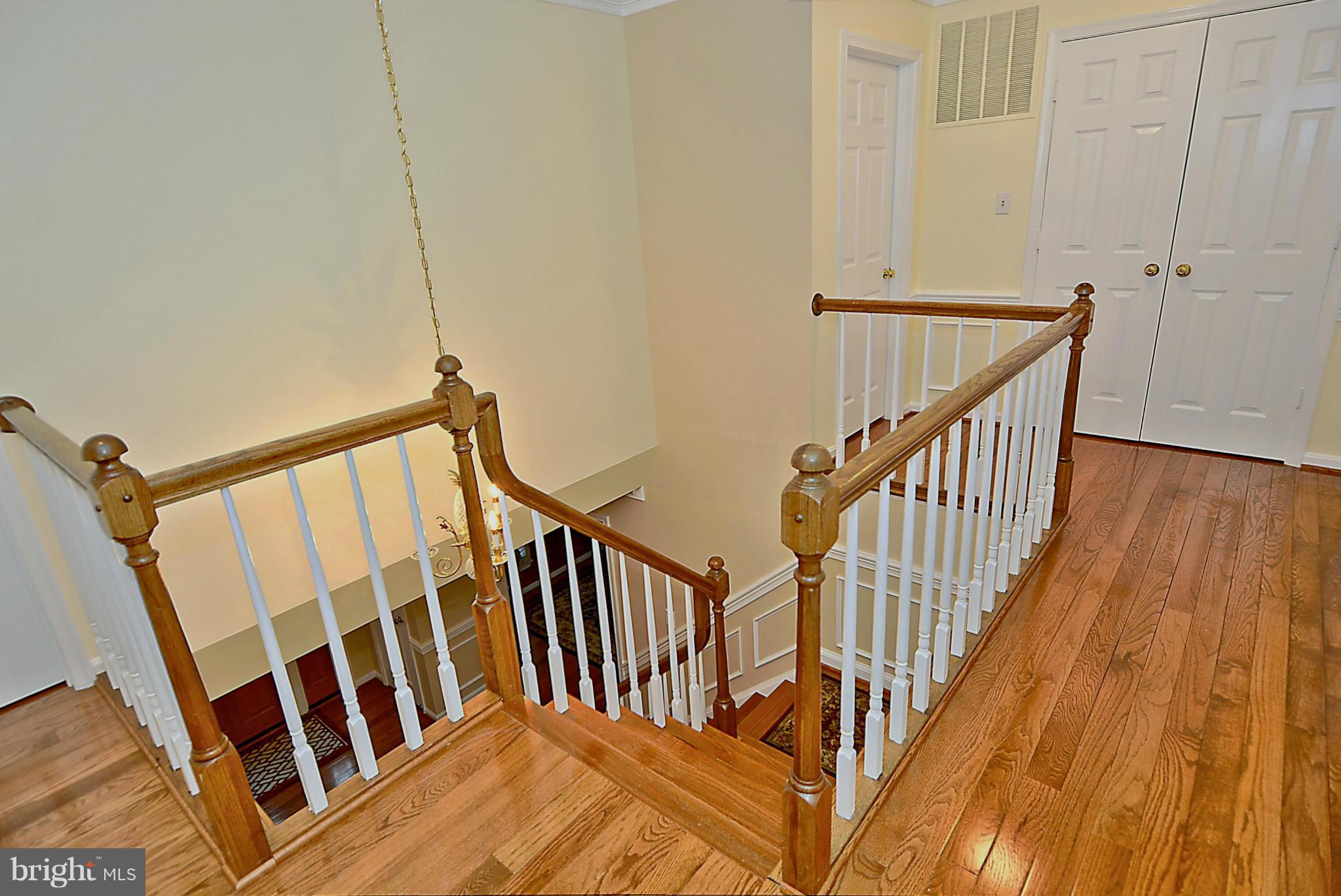 SOUTH RUN FOREST - Residential