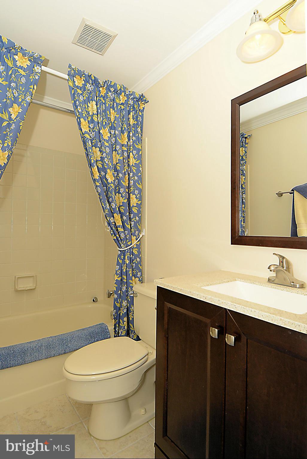 SOUTH RUN FOREST - Residential