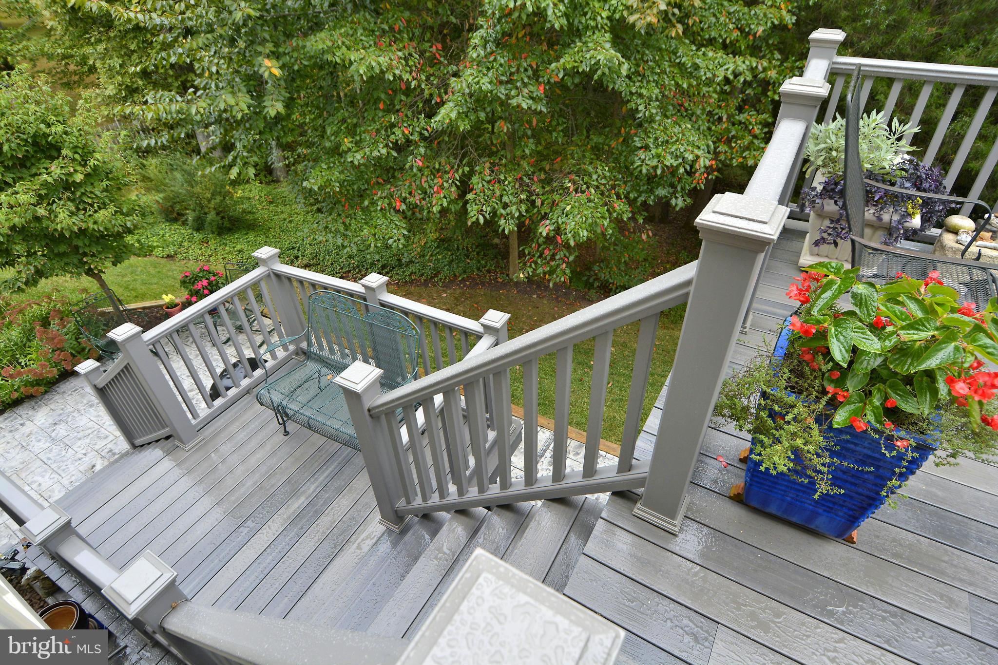 SOUTH RUN FOREST - Residential