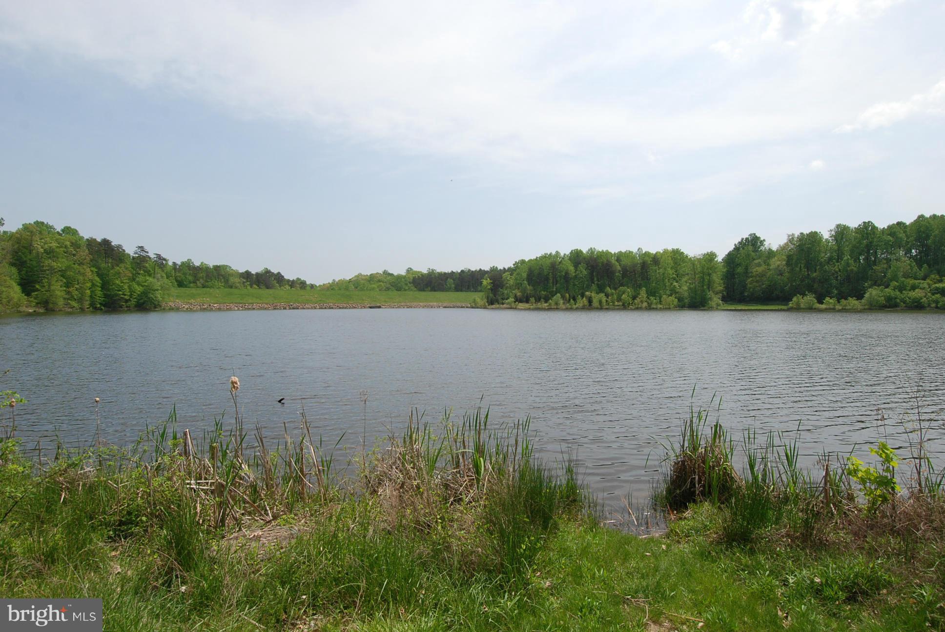 SOUTH RUN FOREST - Residential