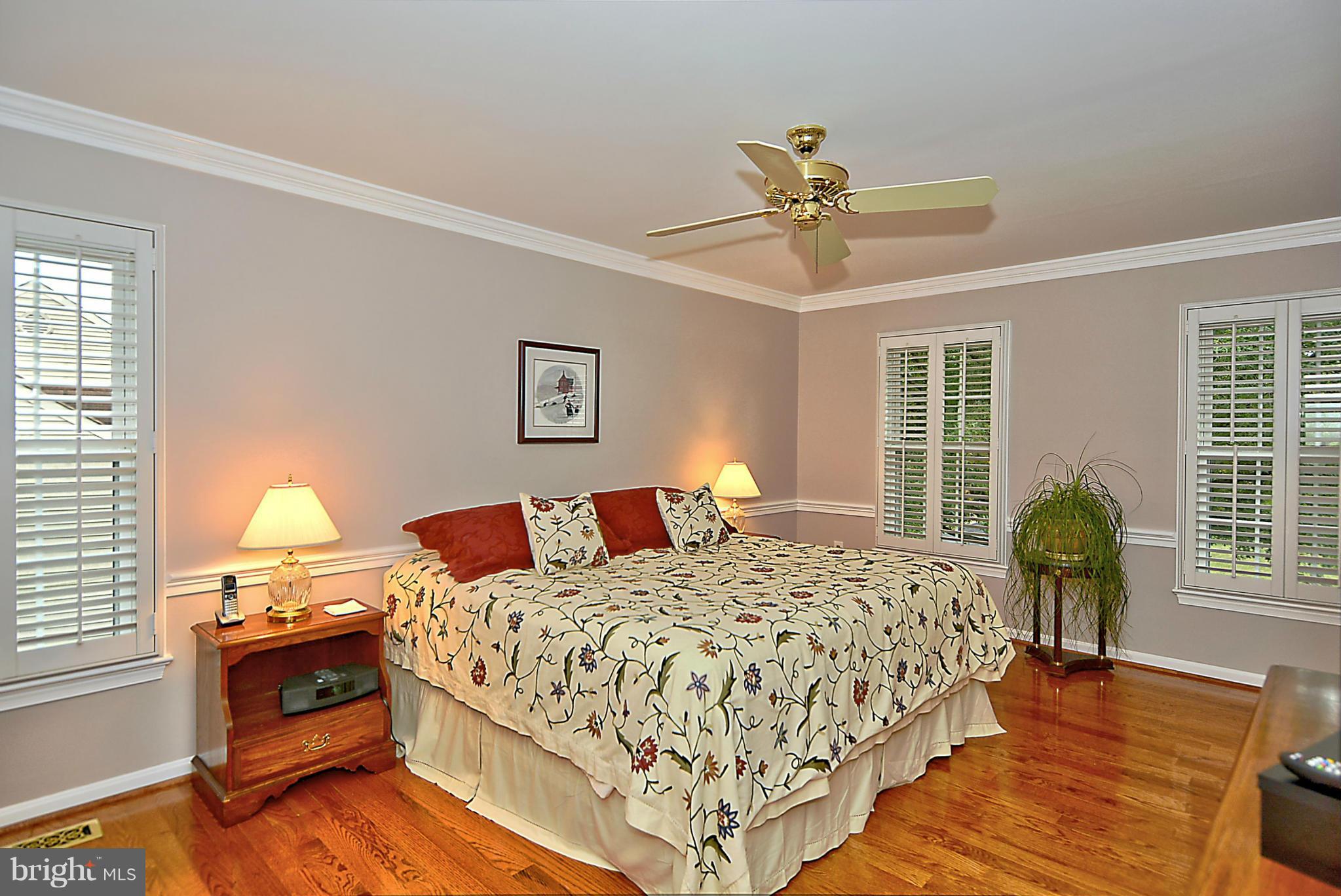 SOUTH RUN FOREST - Residential