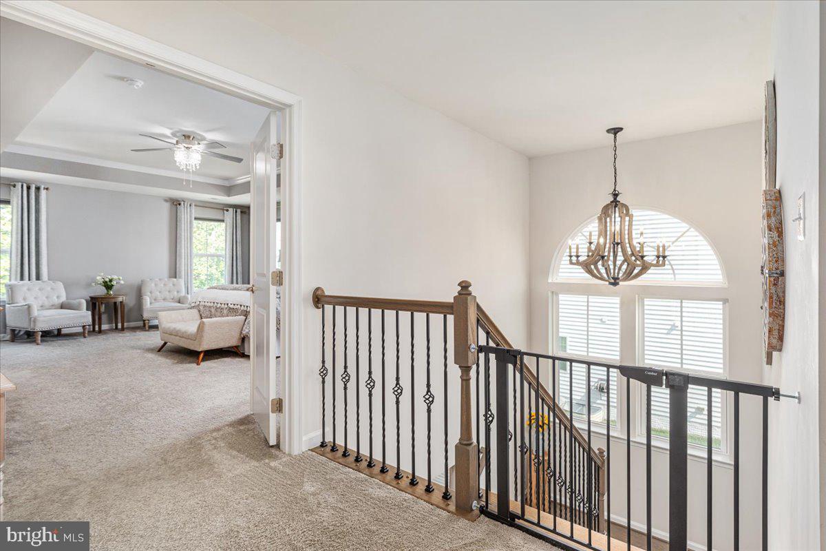 MAY'S QUARTER - Residential