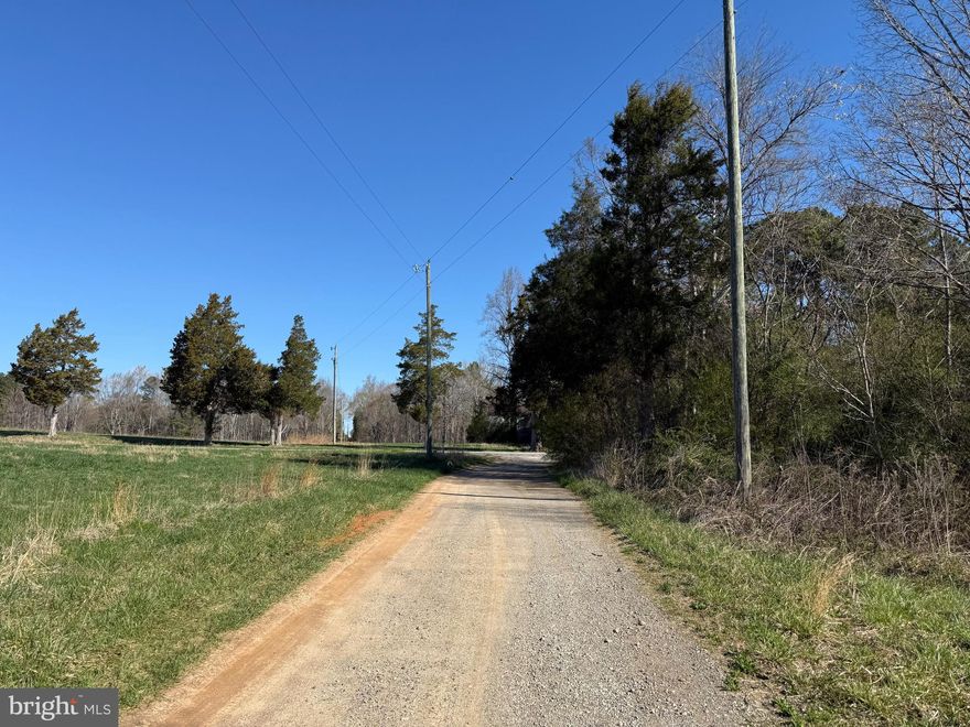 This tract is located just north of South Hill on Craig Mill rd. Property lays flat with pine and hardwood making up the majority of the timber. Nice views of pasture across the road and ample road frontage. Would make for a wonderful place to build a home