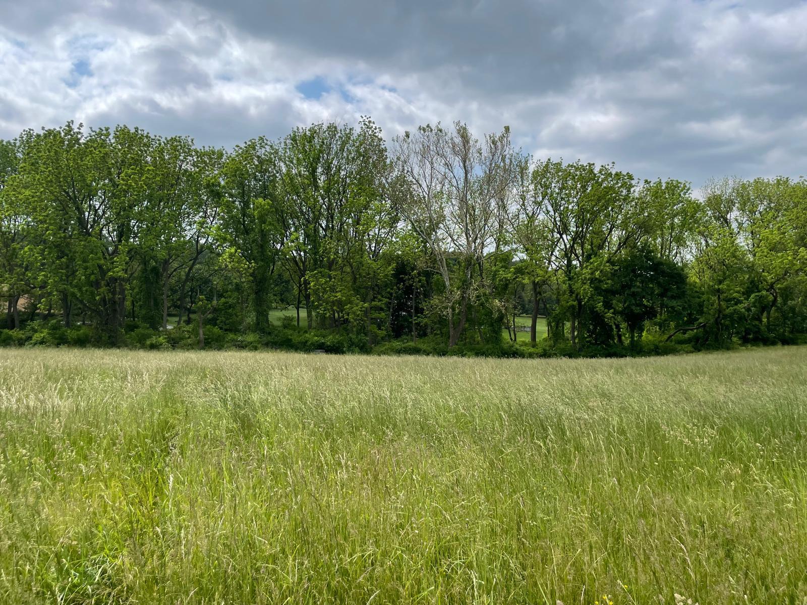81 PENWYCK LANE