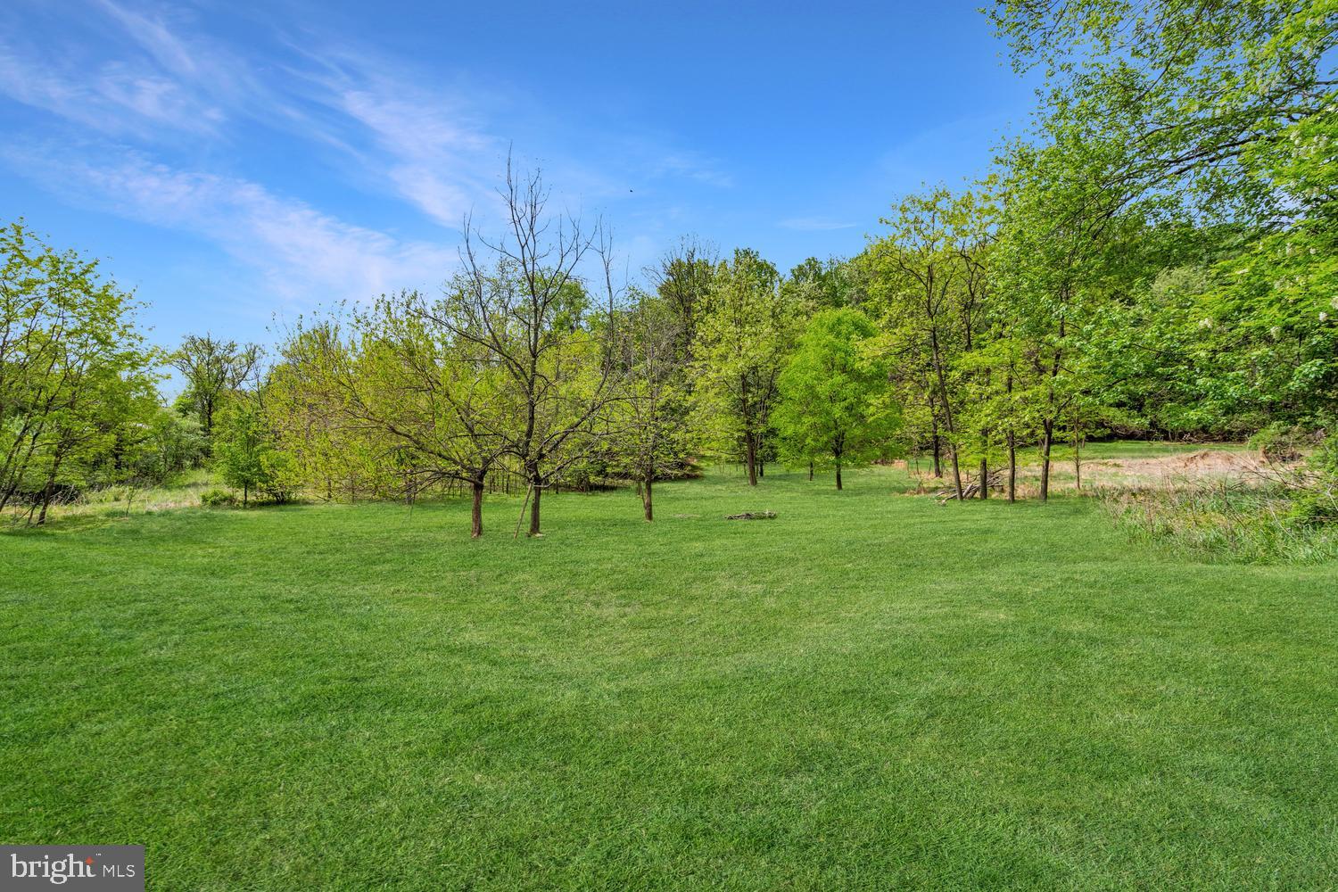 15703 WOODCHESTER COURT