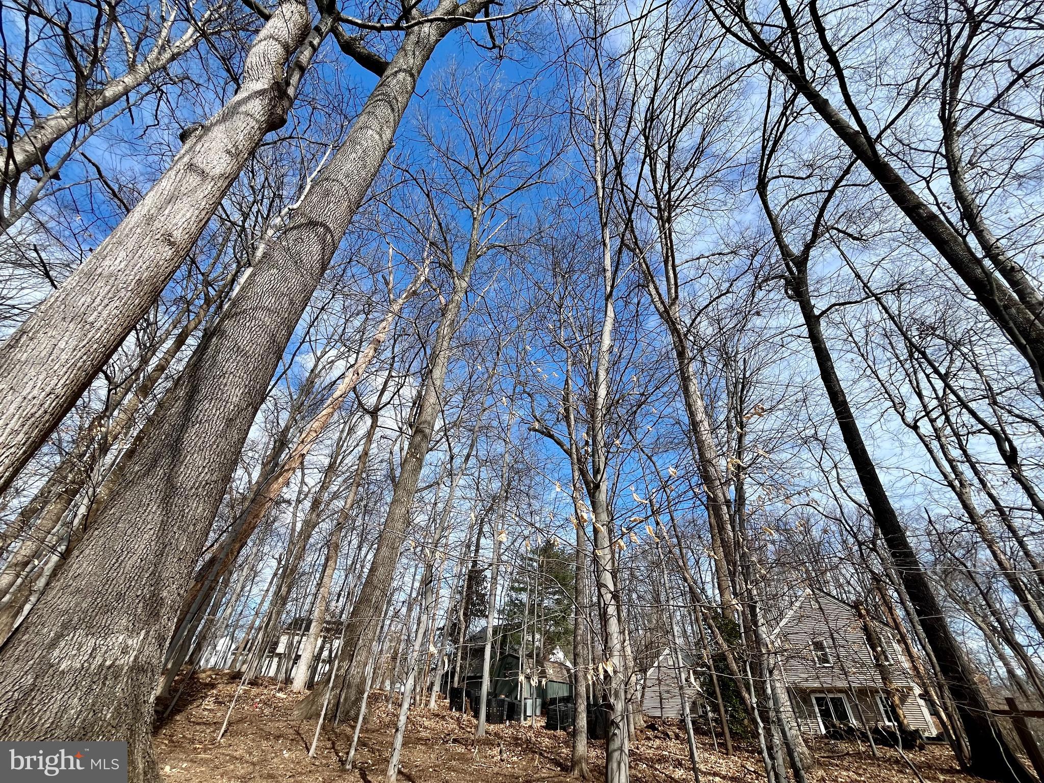 STRATHMORE AT BEL PRE - Residential