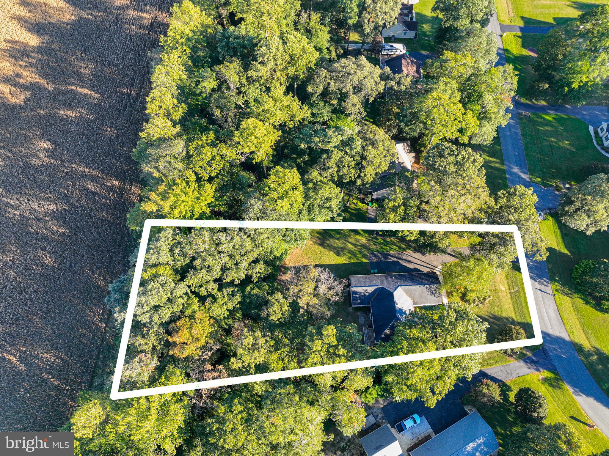 331 SIKA DRIVE