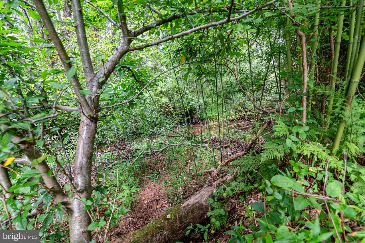 NONE AVAILABLE - Land