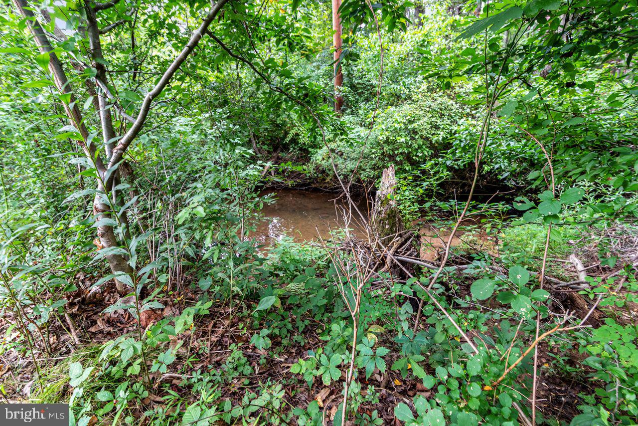 NONE AVAILABLE - Land