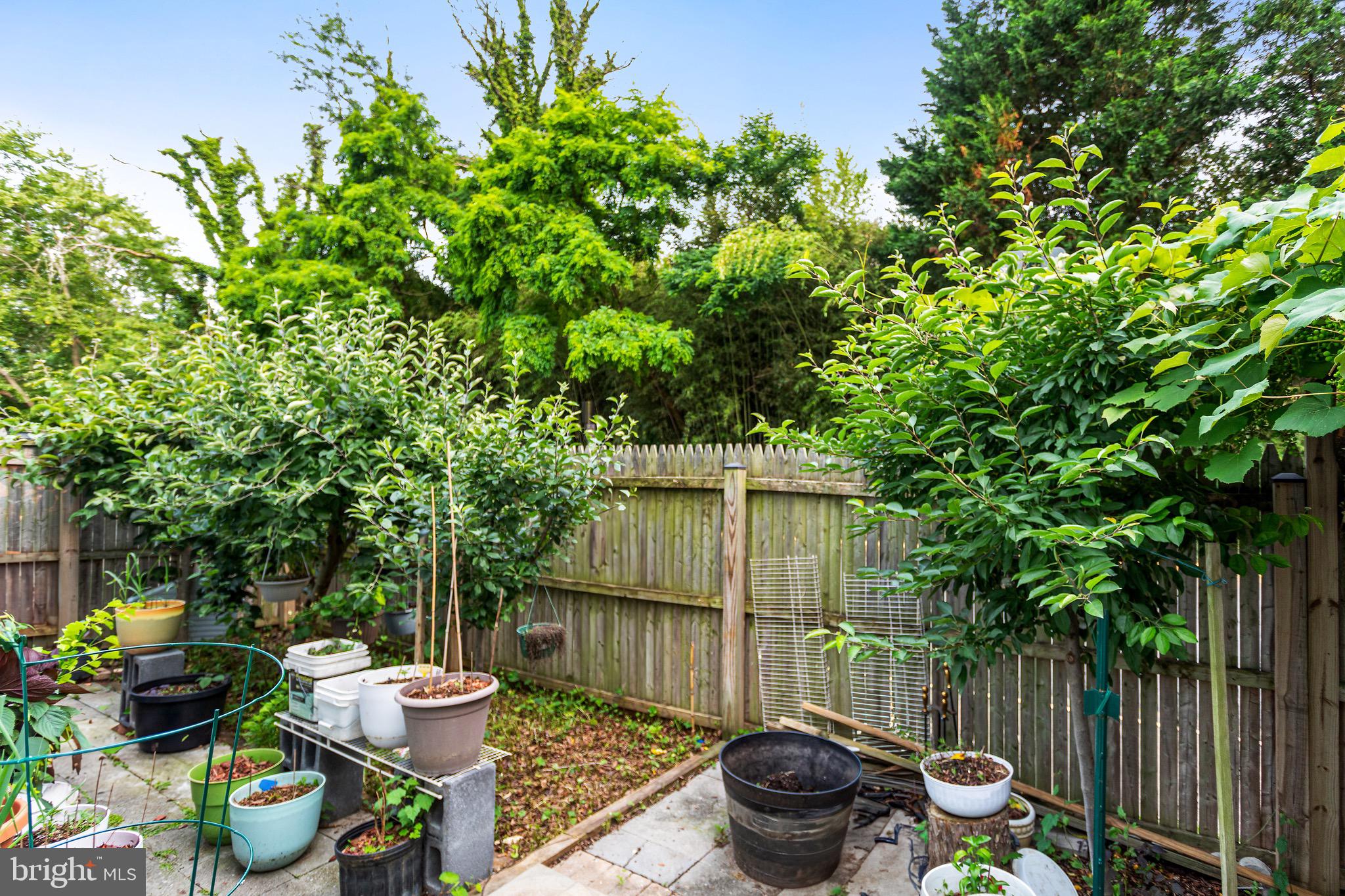 MISTY WOODS - Residential