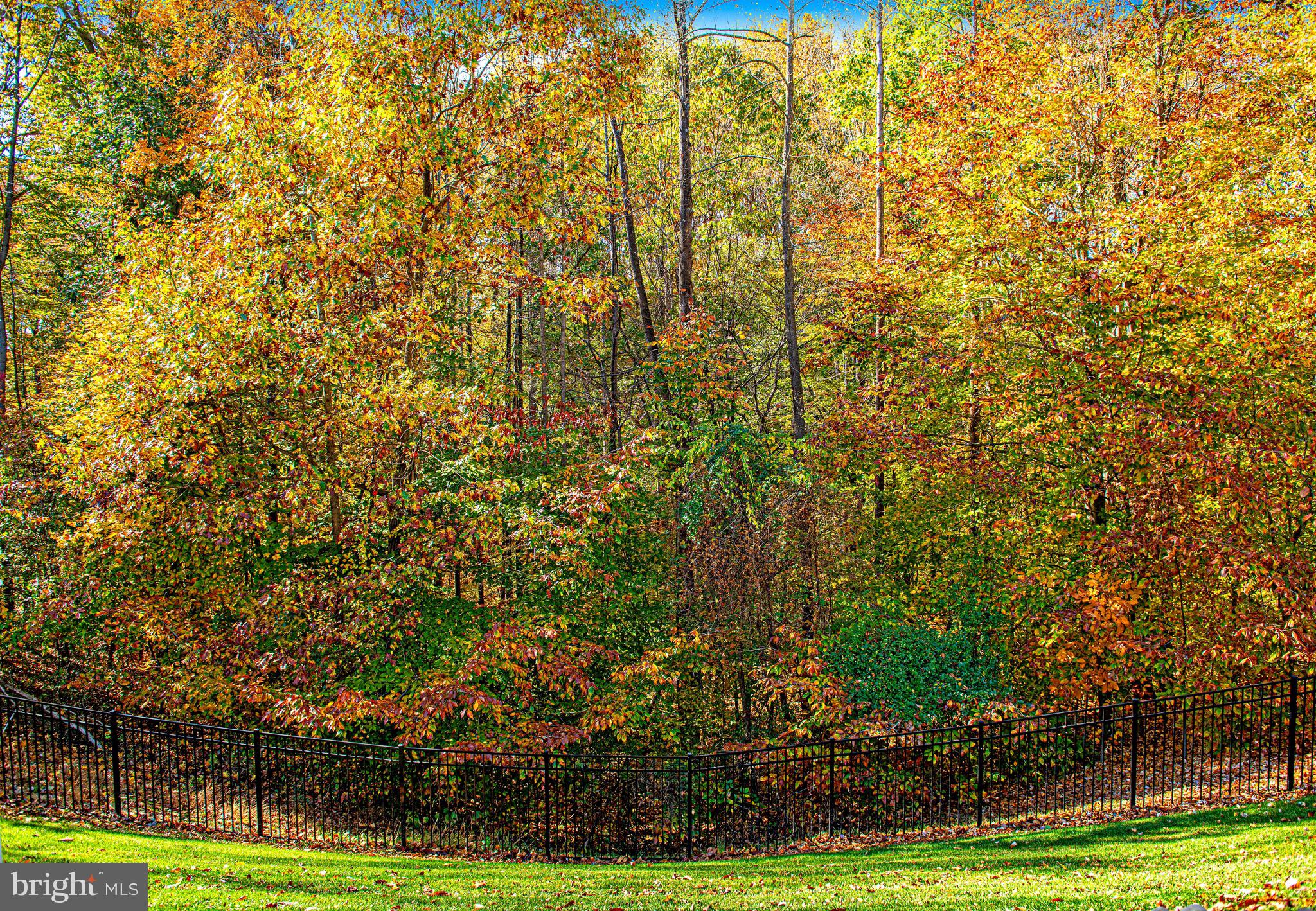 THE ESTATES AT CEDARDAY - Residential