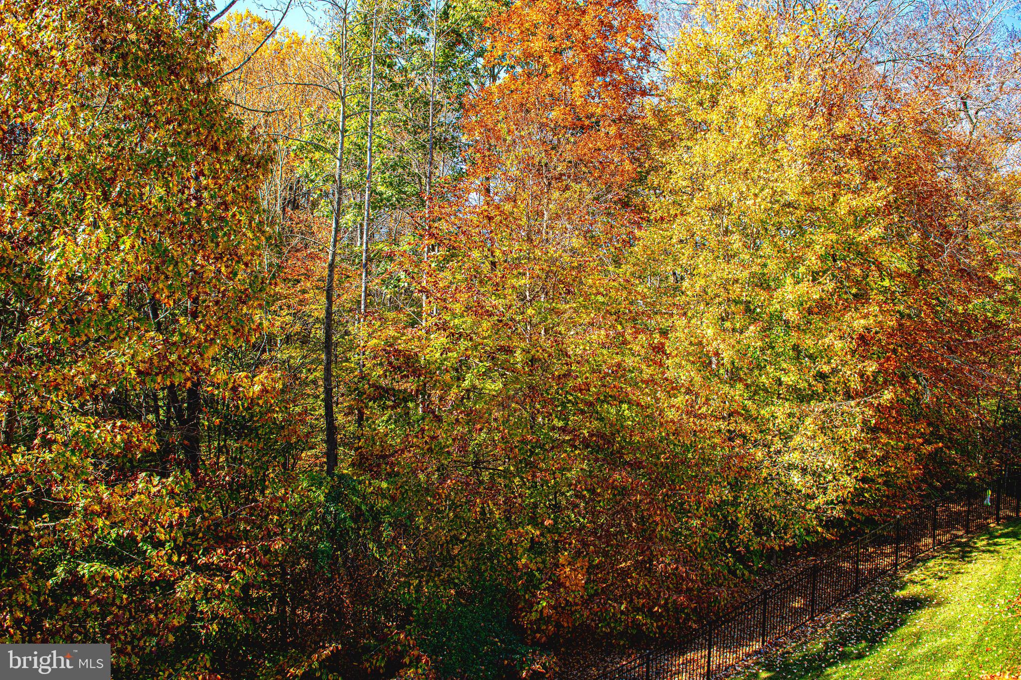 THE ESTATES AT CEDARDAY - Residential