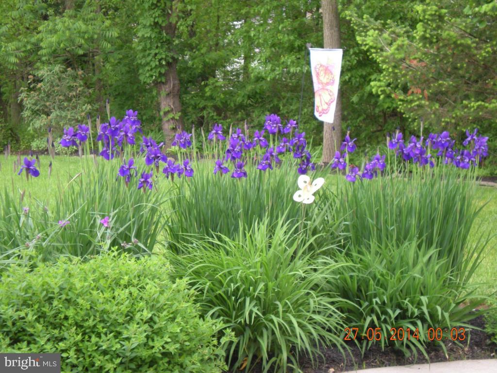 WYNDHAM WAY - Residential