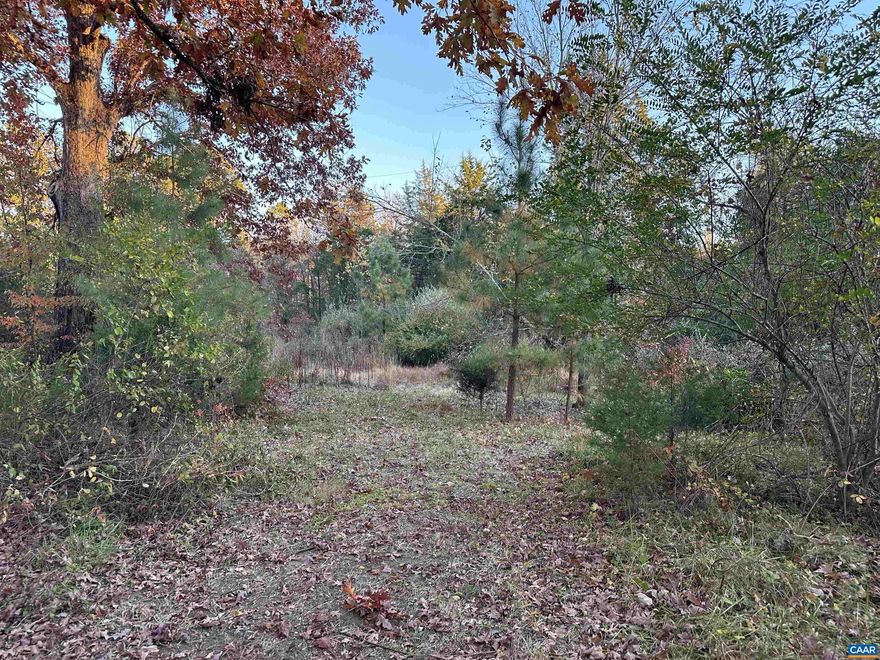 Plans were made to build a new house using the existing well, and approval was granted for a new septic system. However, these plans were never realized. Although the county approved the permit, it has since expired, and the soil work may need to be updated. The property features a farmhouse from 1890, which the current owner will not remove or repair; it is being sold strictly "AS IS."  All showings are by appointment only and must be accompanied by a real estate agent. A Hold Harmless form must be signed before showing, as the safety of the home is currently unknown.  The lot has great potential, with a small stream along the rear border. It is mostly level and adorned with beautiful mature hardwood trees. The property is located approximately 18 miles from Charlottesville. According to the Firefly website, internet service is available, and electric service is also on site. The current owner has never lived at this address. There is a driveway.   This is a wonderful opportunity to build your dream home!