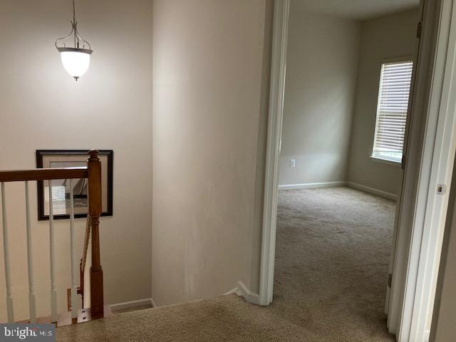 THE PRESERVE - Residential