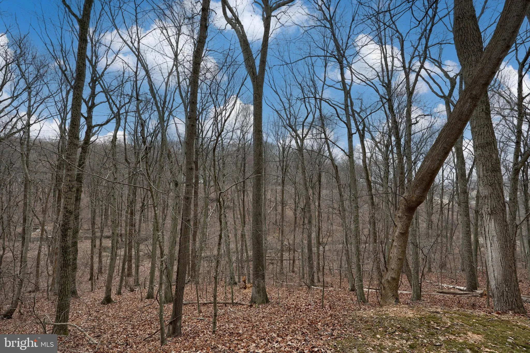 Quarryville, Pennsylvania 17566, United States, 3 Bedrooms Bedrooms, ,3 BathroomsBathrooms,Residential,Active,847