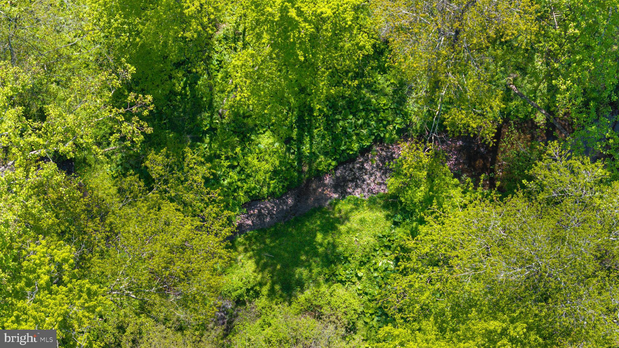2707 SPRING HILL ROAD