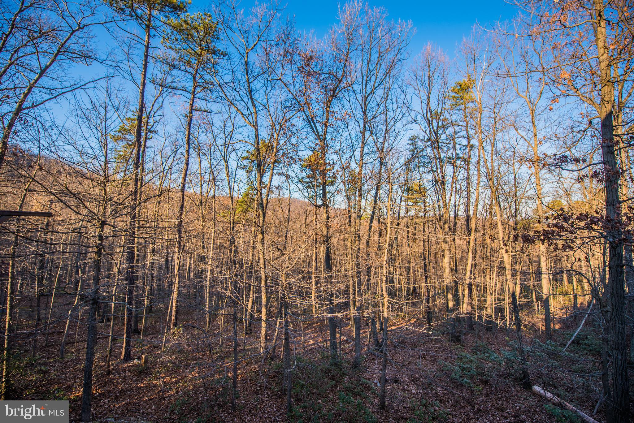 THE WOODS - Residential