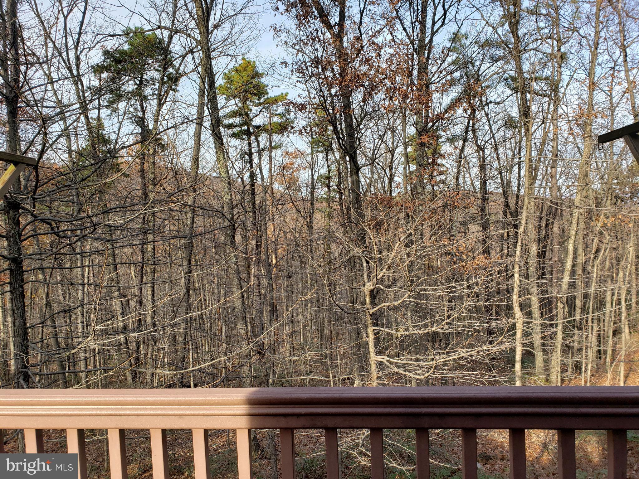 THE WOODS - Residential