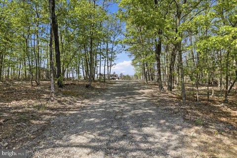Vacant Land For Sale - 399 Buttonwood Trail Trl<br/> ROMNEY, WV 26757