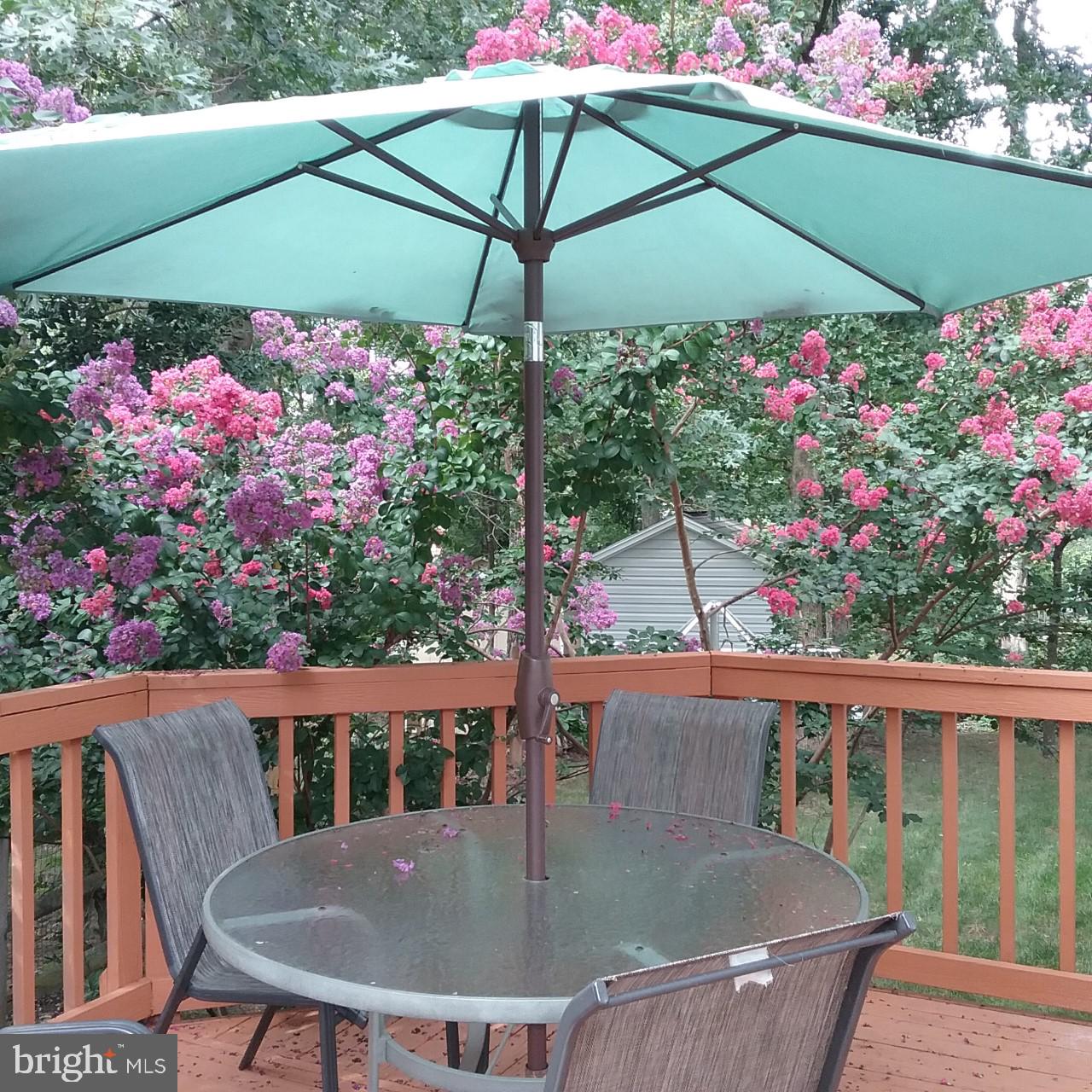 DORCHESTER - ST. CHARLES - Residential