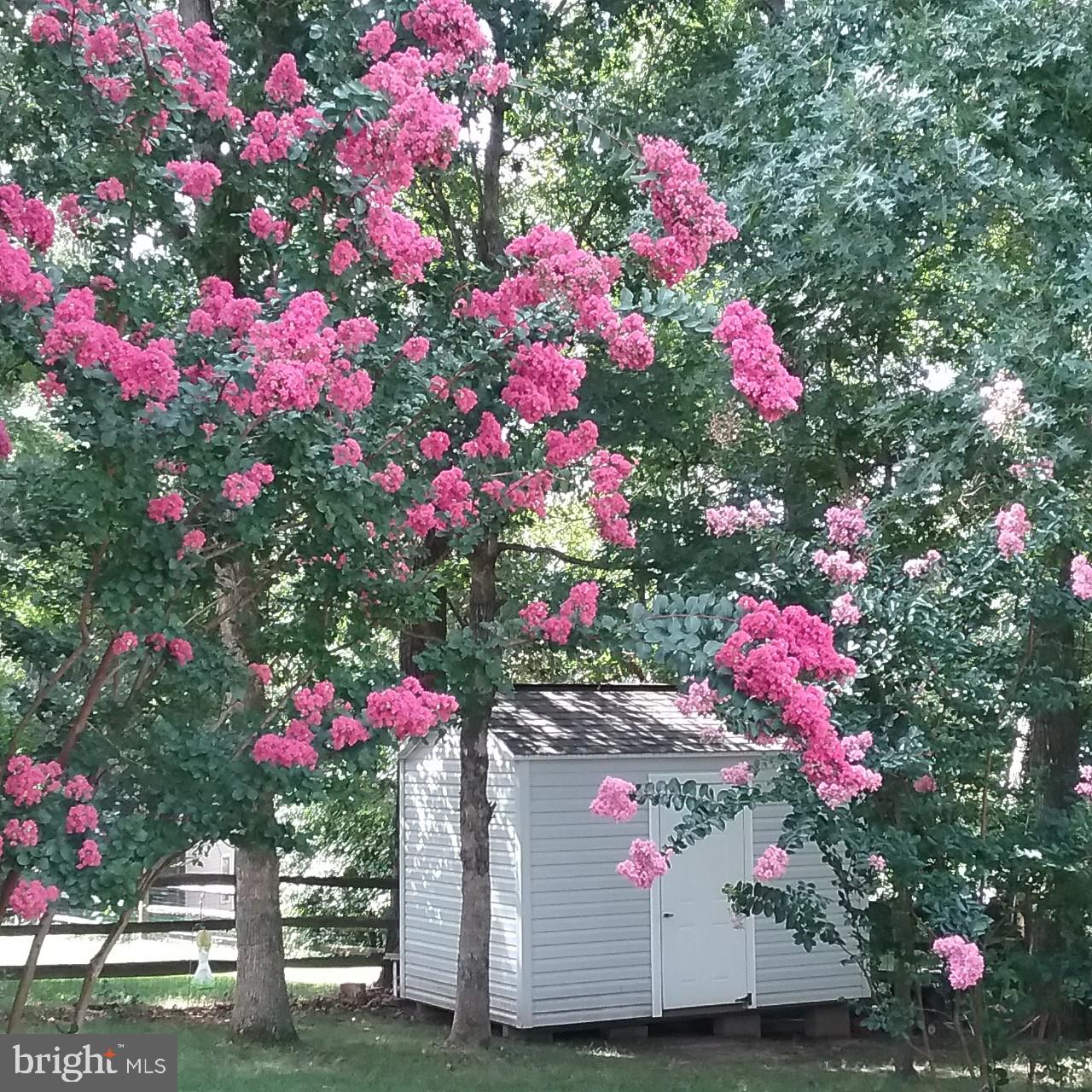 DORCHESTER - ST. CHARLES - Residential