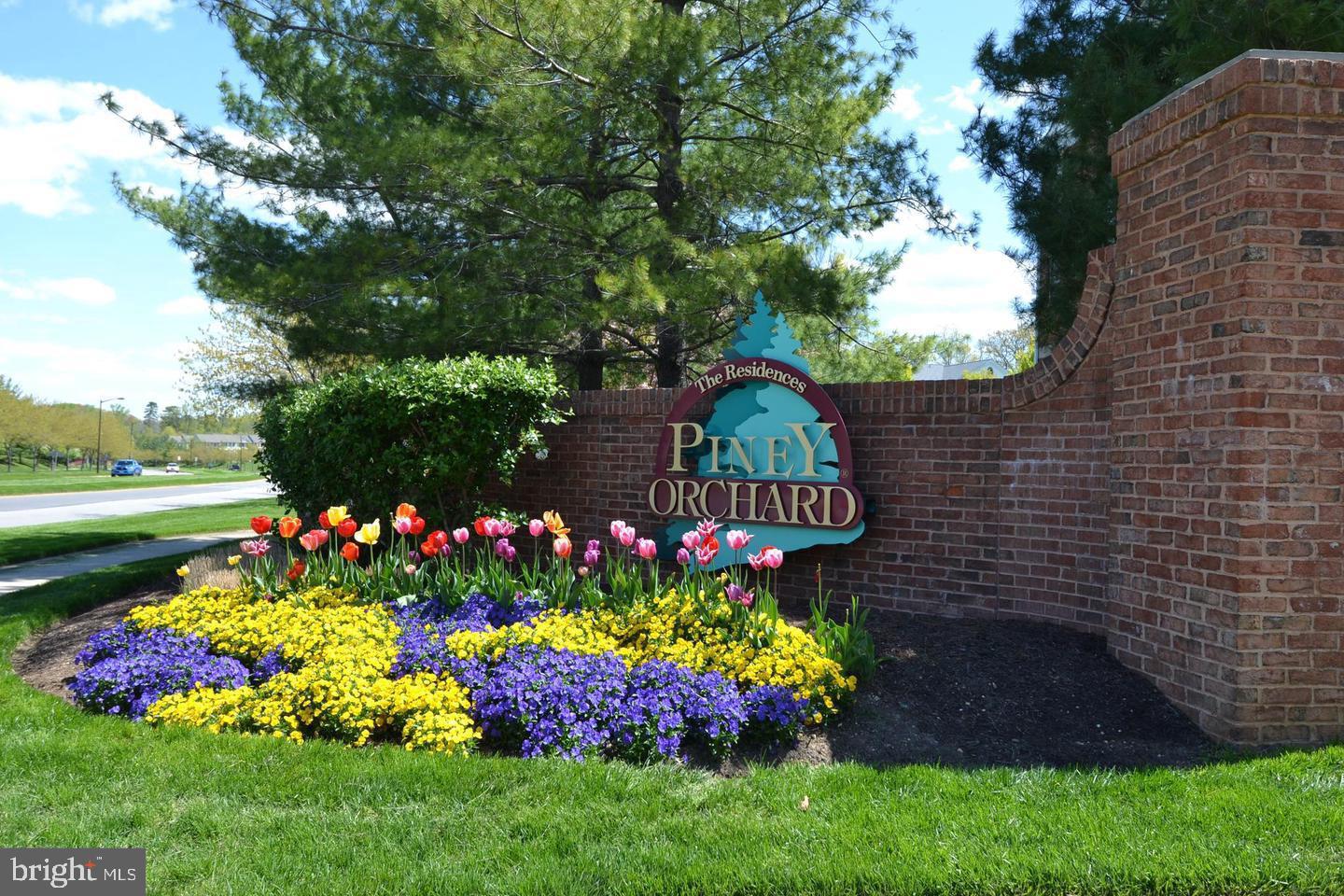 COURTS AT PINEY ORCHARD - Residential