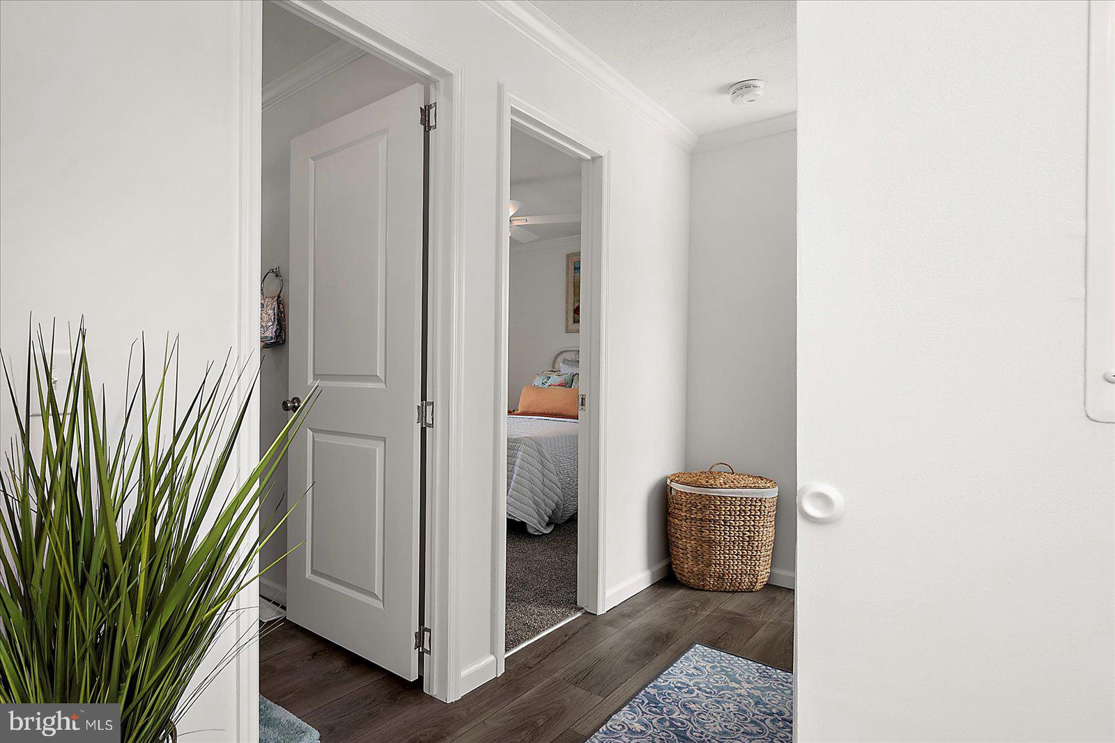 SALT LIFE PARK LLC - Residential