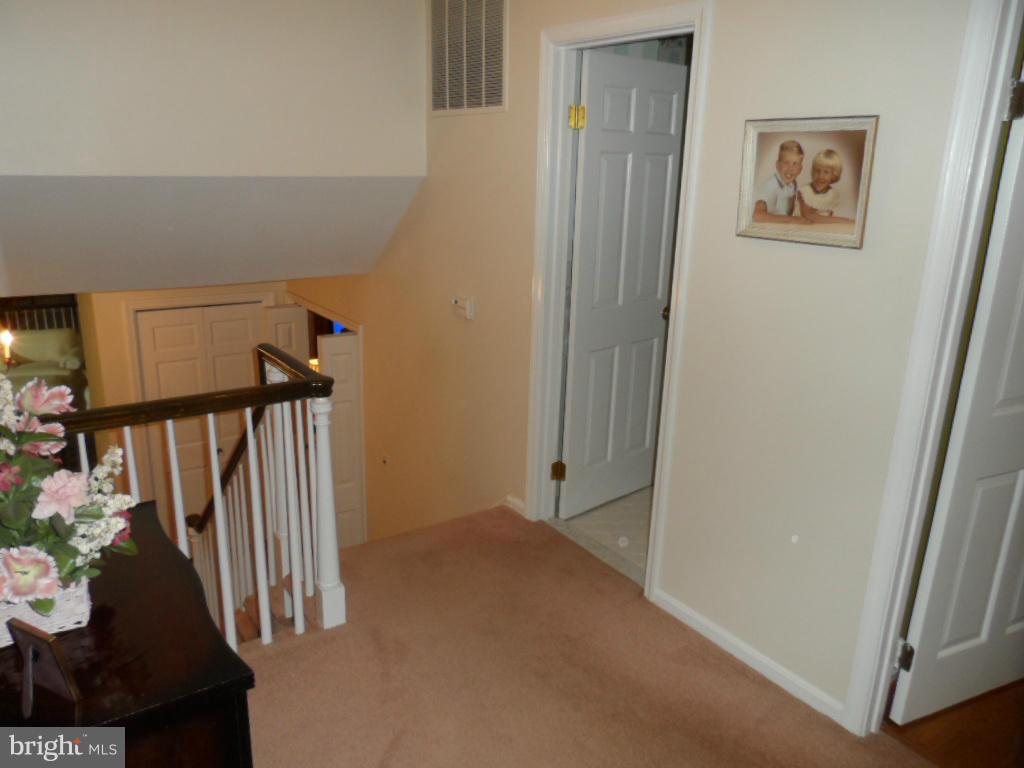 BILLINGSLEY FOREST - Residential