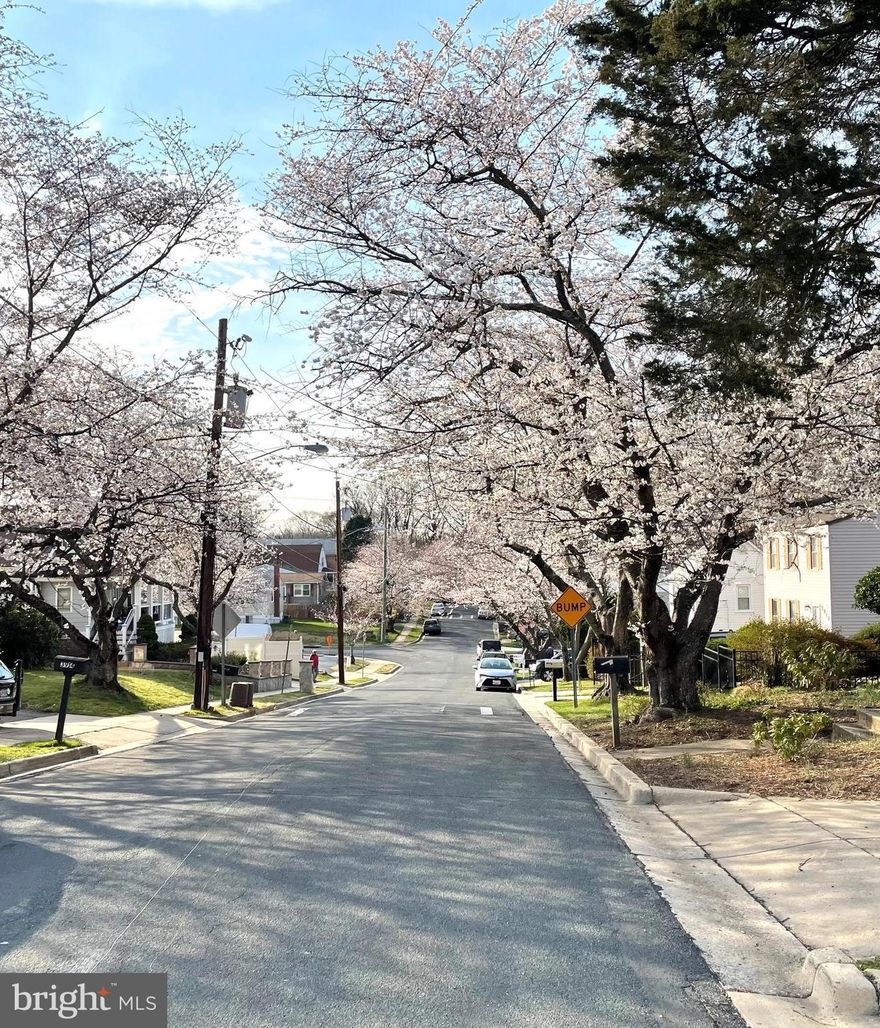 Multiple offers received, best and final due Sunday 4/3 at noon. Build your dream home on this great deep lot on a cherry blossom lined street in historic Ken Gar/Kensington. Kensington is booming with new homes, businesses and amenities. House is not considered habitable. Zoned to Walter Johnson HS.  Architect drawings for a 5BR 4.5 BA house, from Van Franke,  will be provided by seller.  Buyer may use any architect or builder. No access to the interior of the house will be granted. Also listed in Land MLS. Walk the lot BY APPOINTMENT.