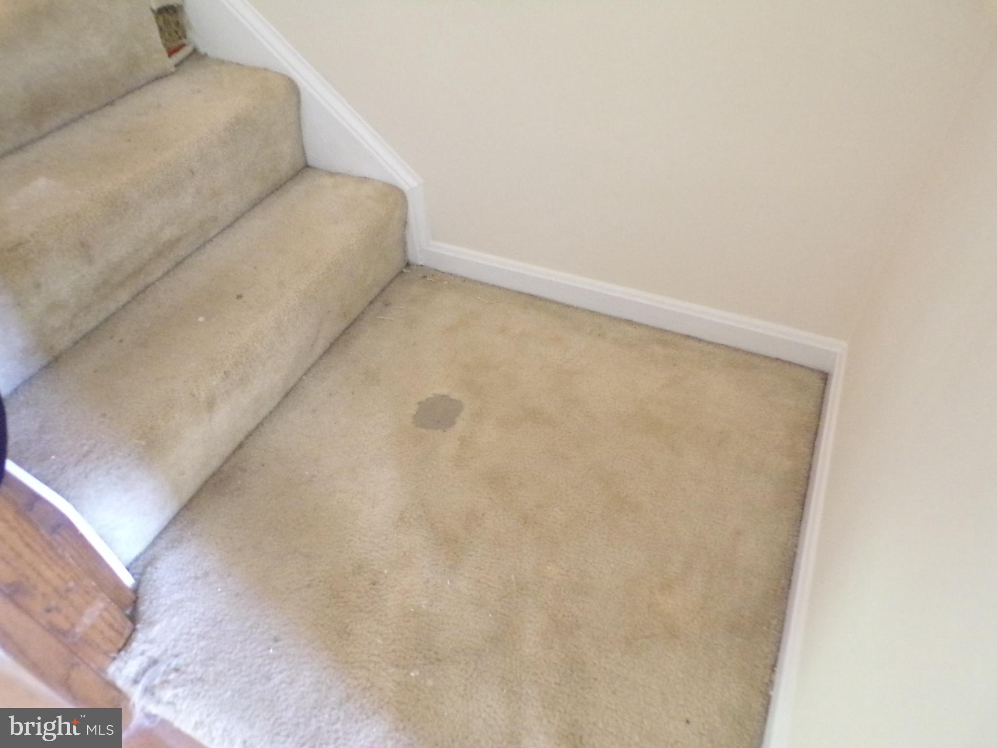 SPRINGFIELD OAKS - Residential