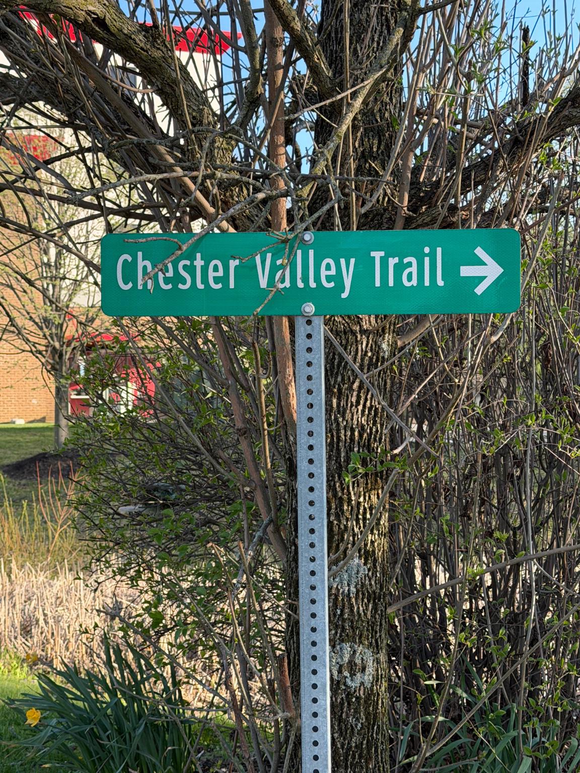 EXTON WALK SINGLES - Residential