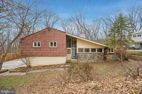 675 TREPHANNY WAYNE PA 19087