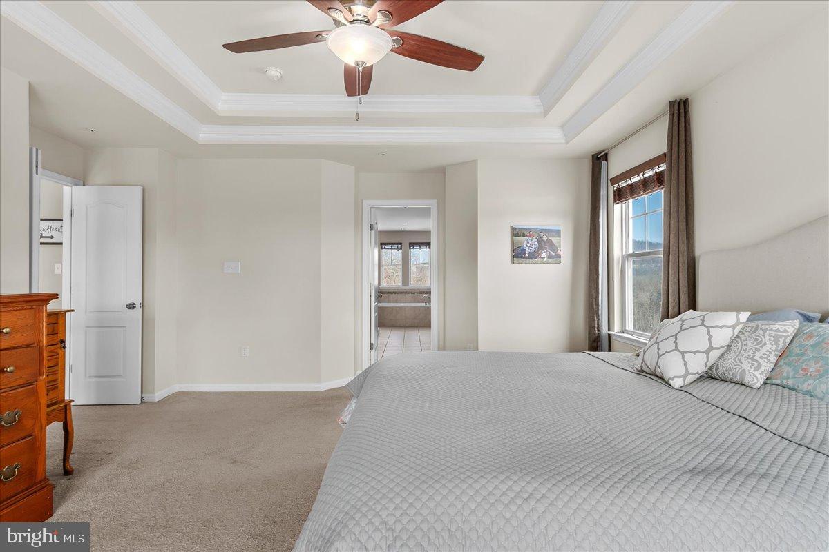 SABER RIDGE - Residential