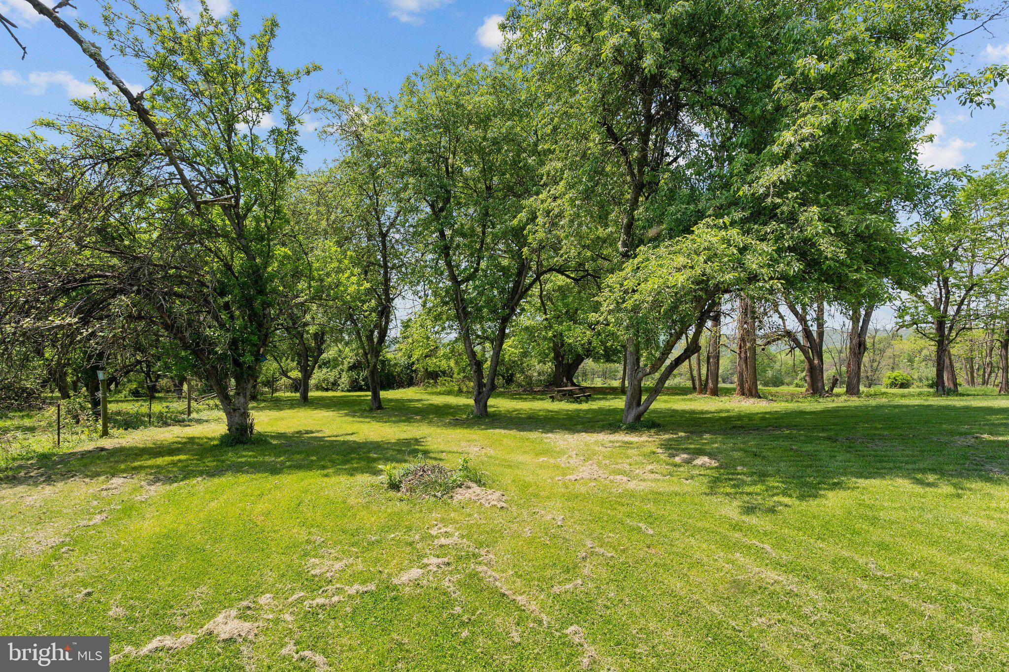 LOVETTSVILLE - Residential Lease