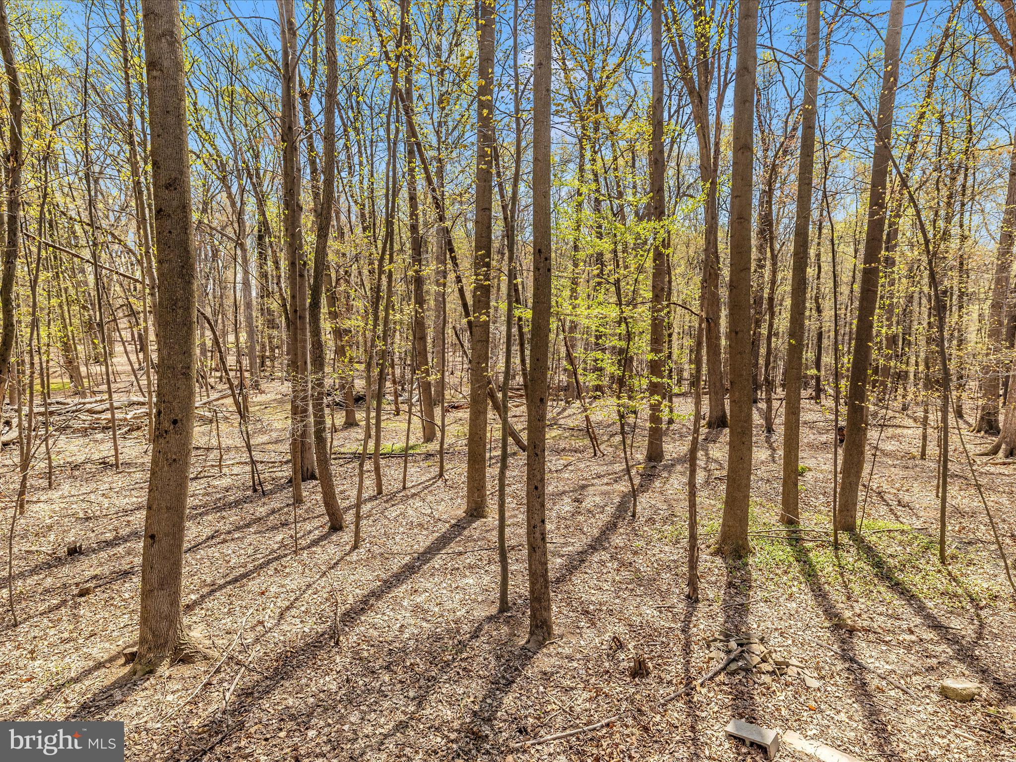 WHITE OAKS - Residential