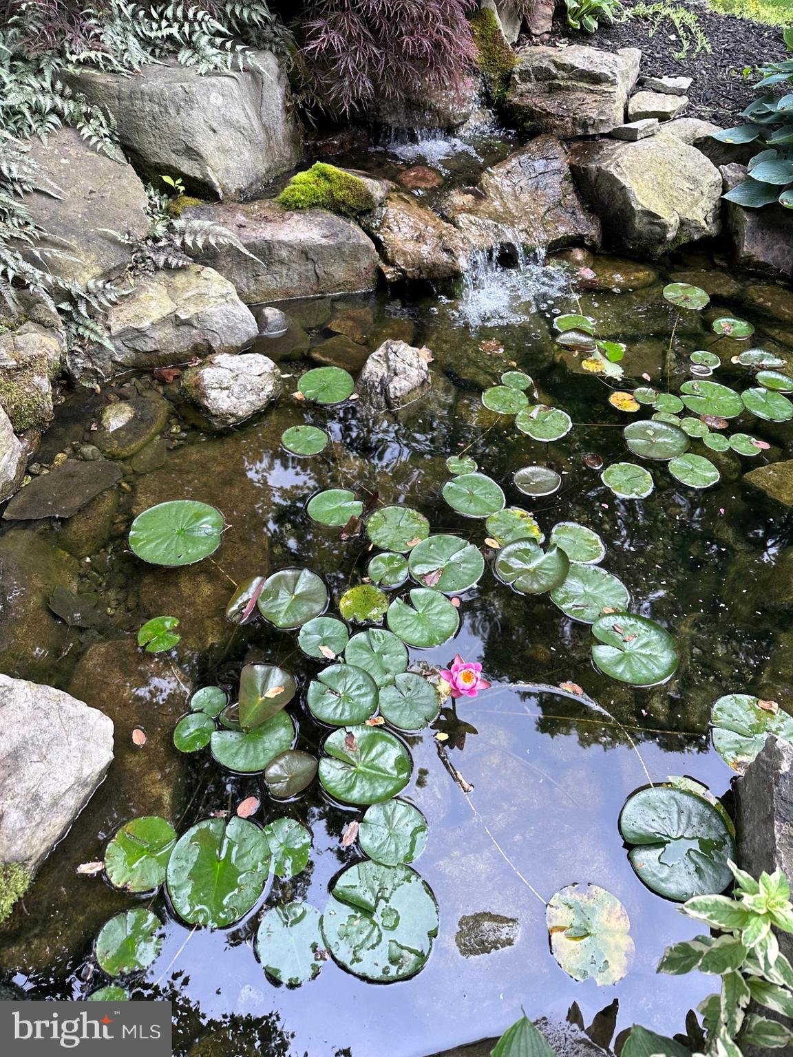 WHITE OAKS - Residential