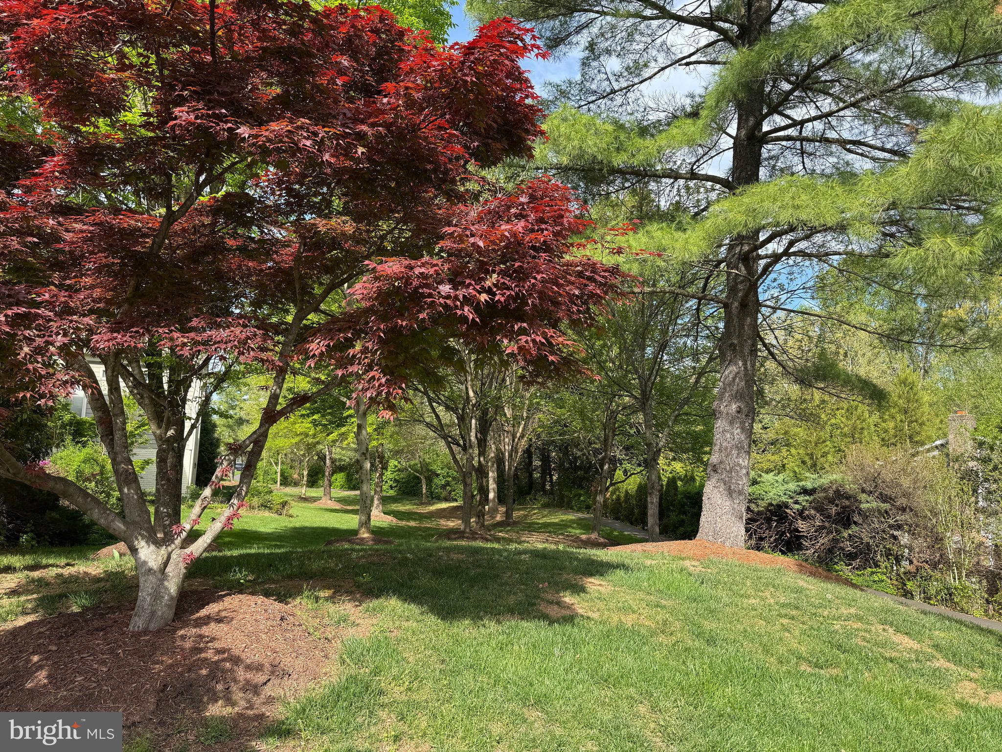 OAK MARR COURTS - Residential