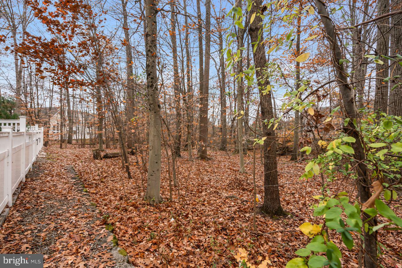 BRANDON FARMS - Residential